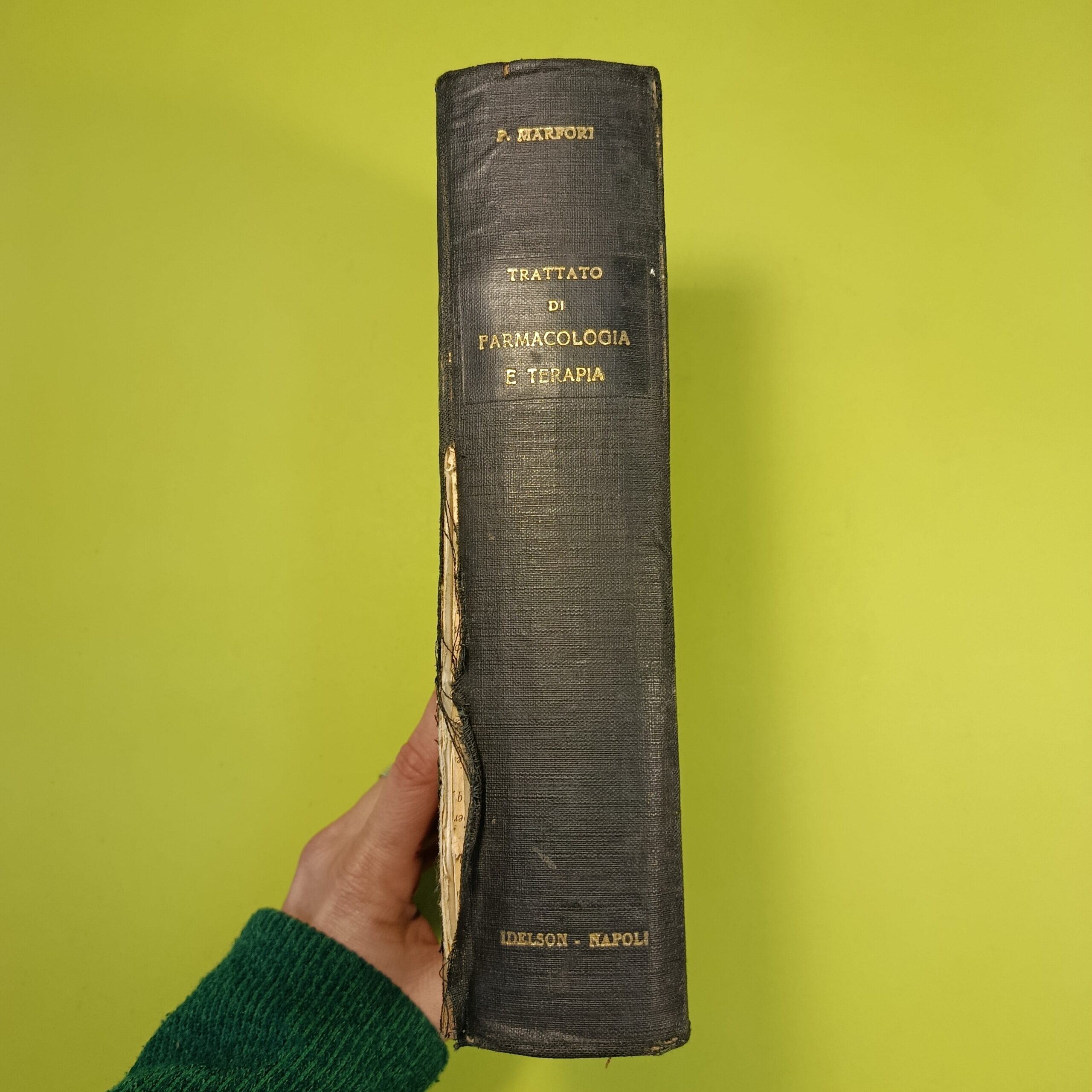 TRATTATO DI FARMACOLOGIA E TERAPIA - immagine 2