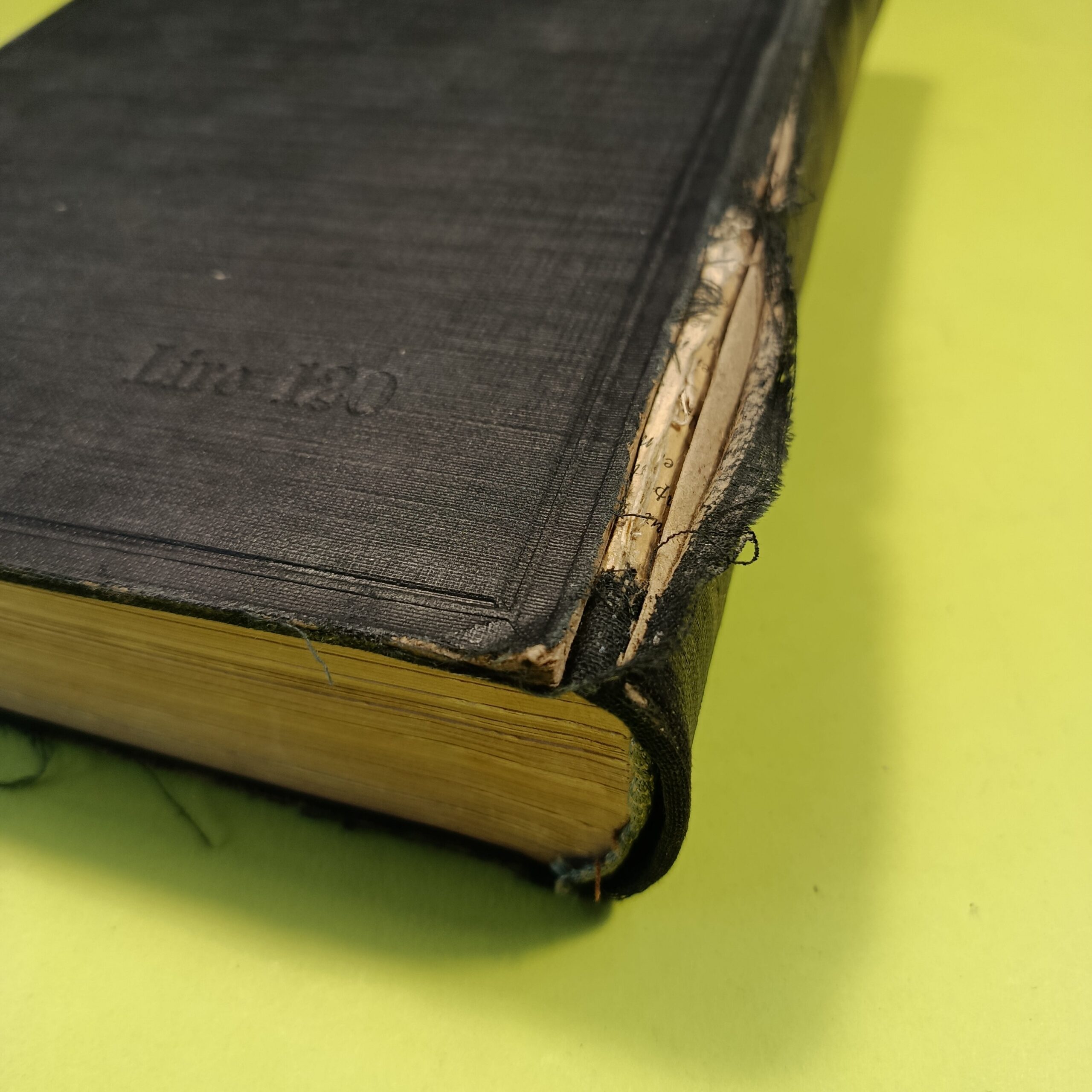 TRATTATO DI FARMACOLOGIA E TERAPIA - immagine 3