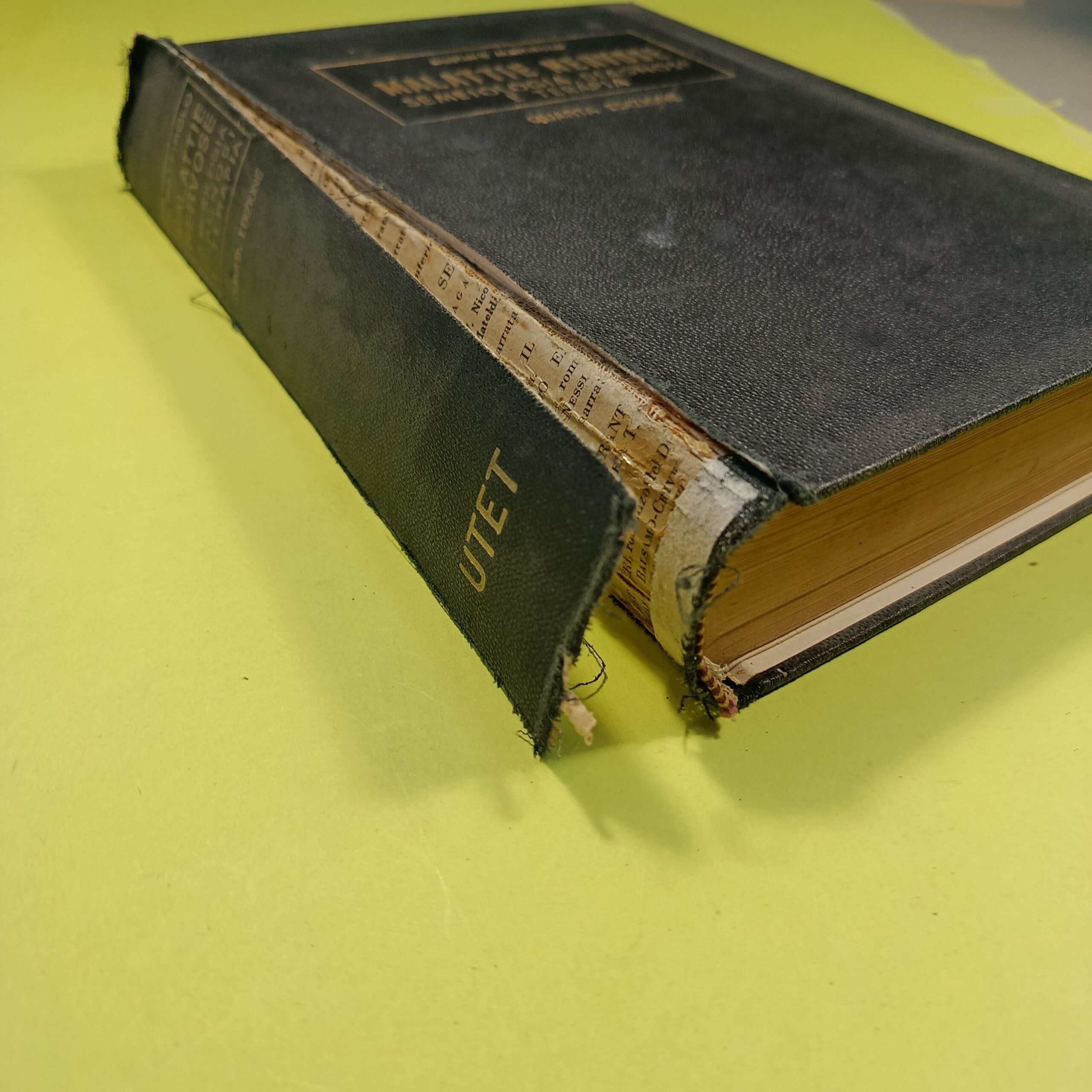 MALATTIE NERVOSE SEMEIOLOGIA, DIAGNOSI E TERAPIA - immagine 2