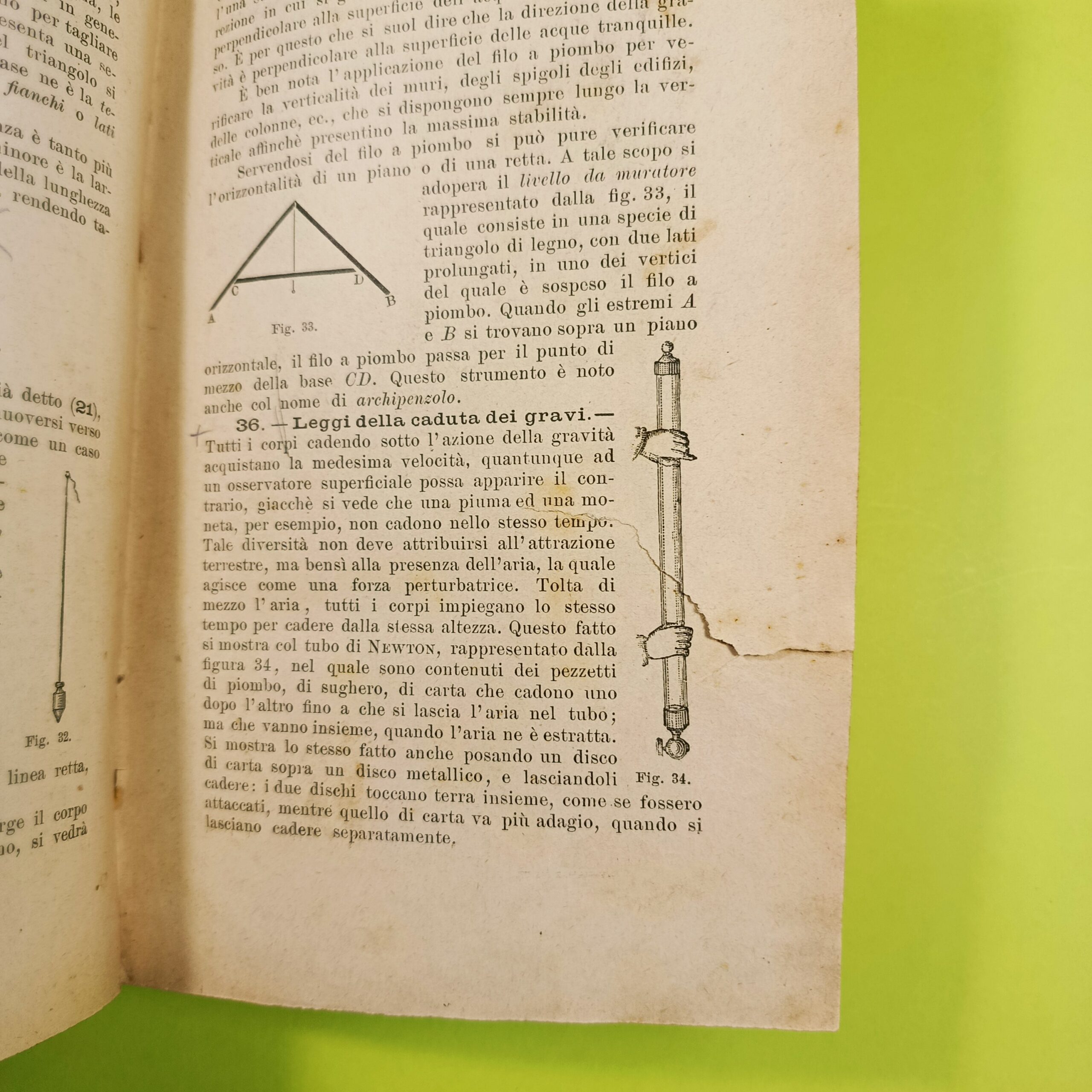 NOZIONI DI SCIENZE NATURALI VOL II - immagine 3