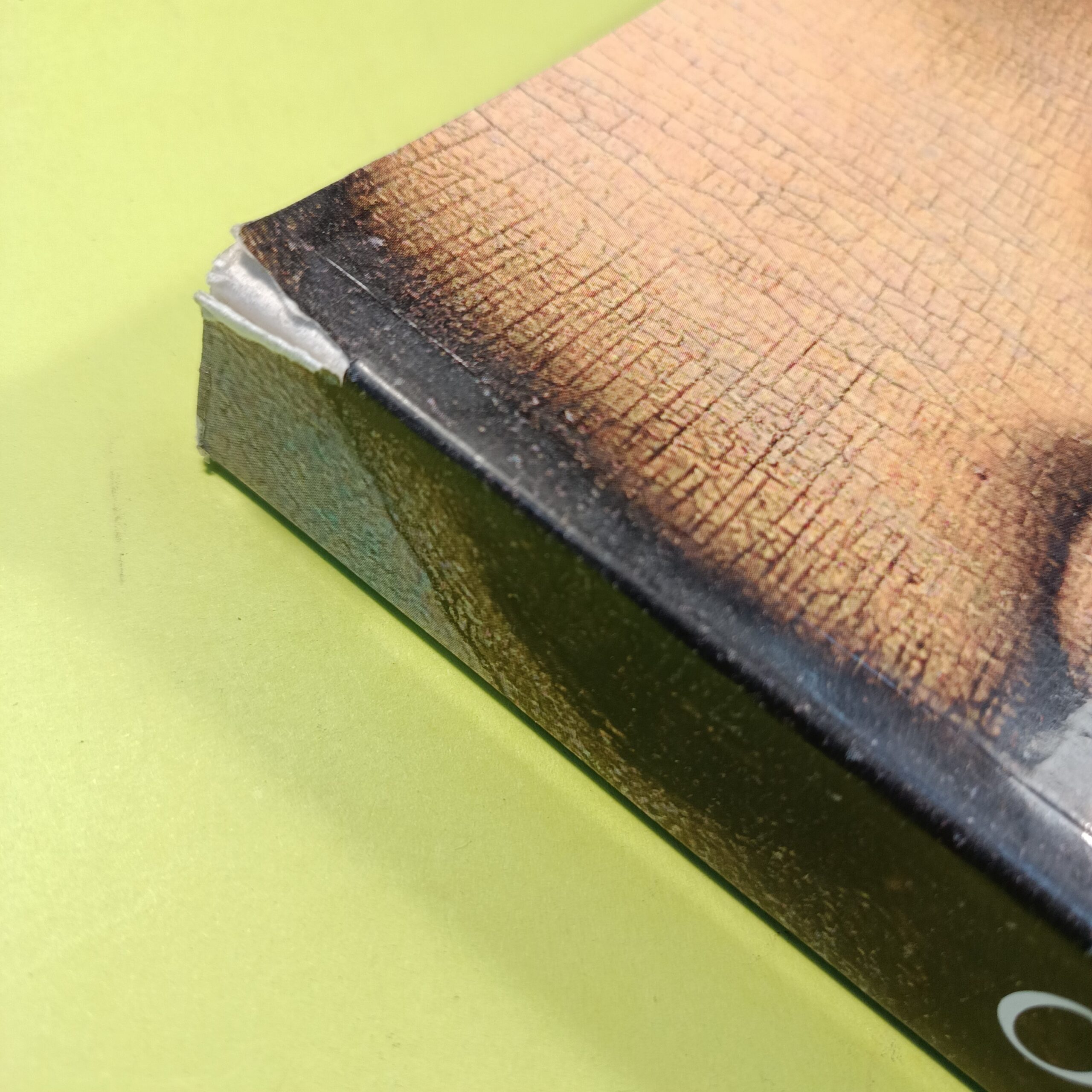 LEONARDO - immagine 2