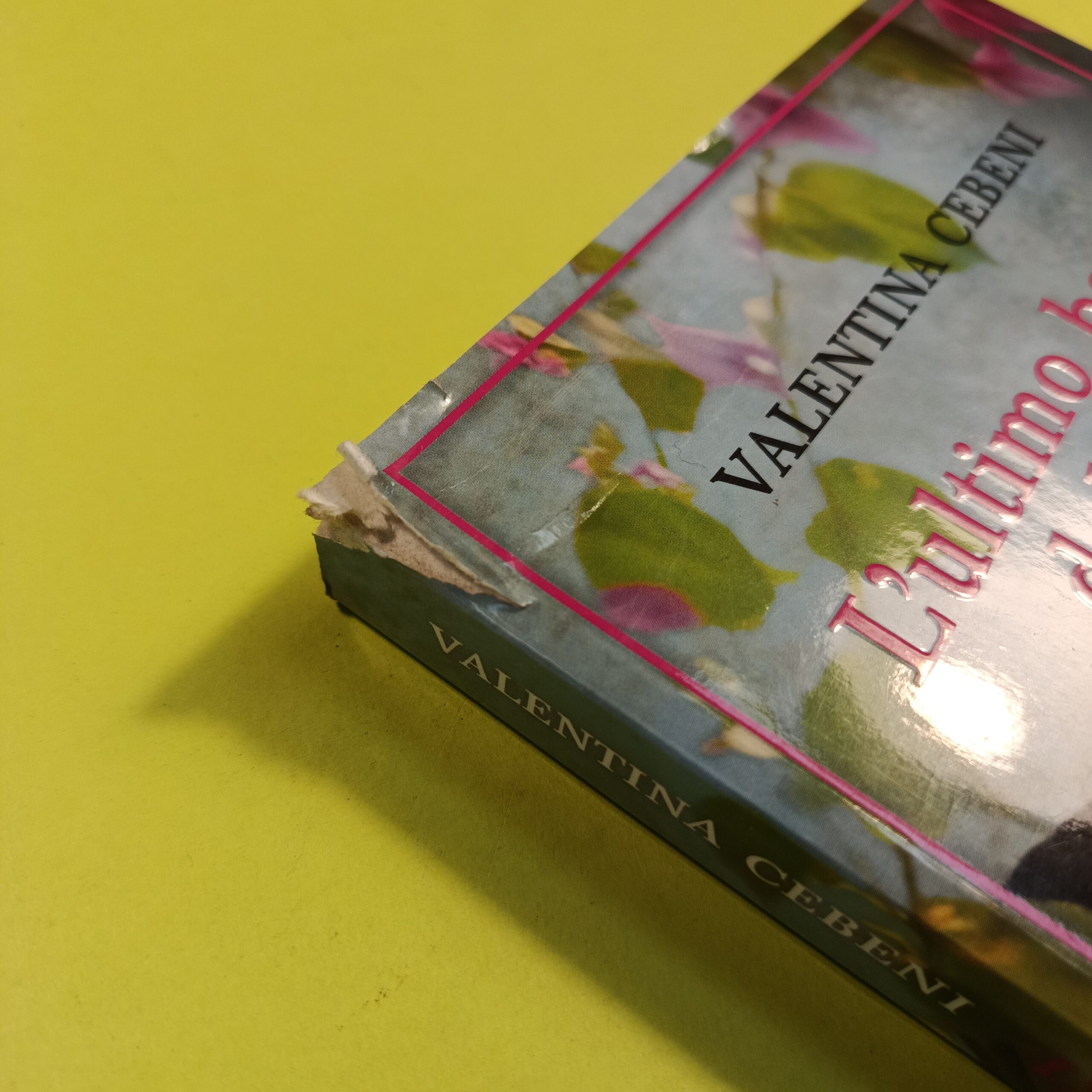 L'ULTIMO BATTITO DEL CUORE - immagine 2