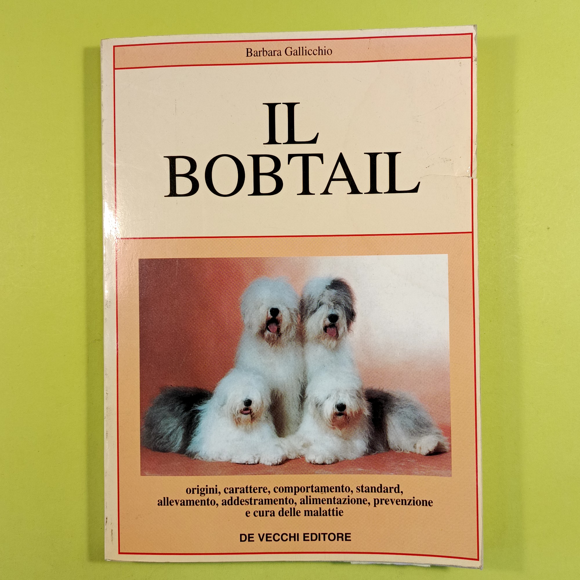 IL BOBTAIL