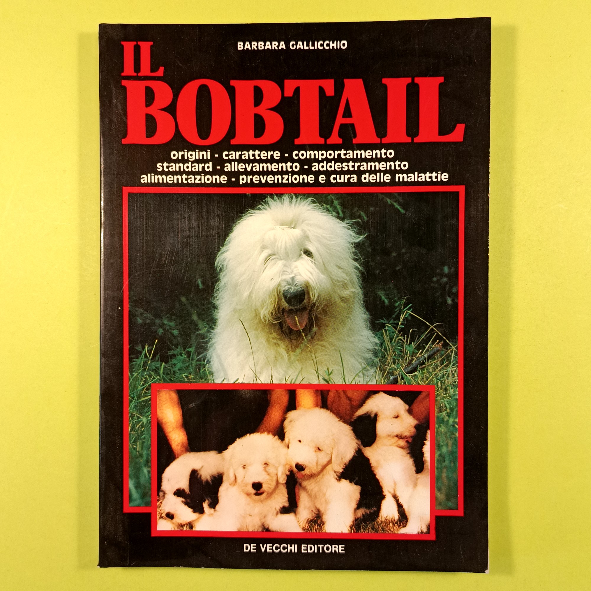 IL BOBTAIL