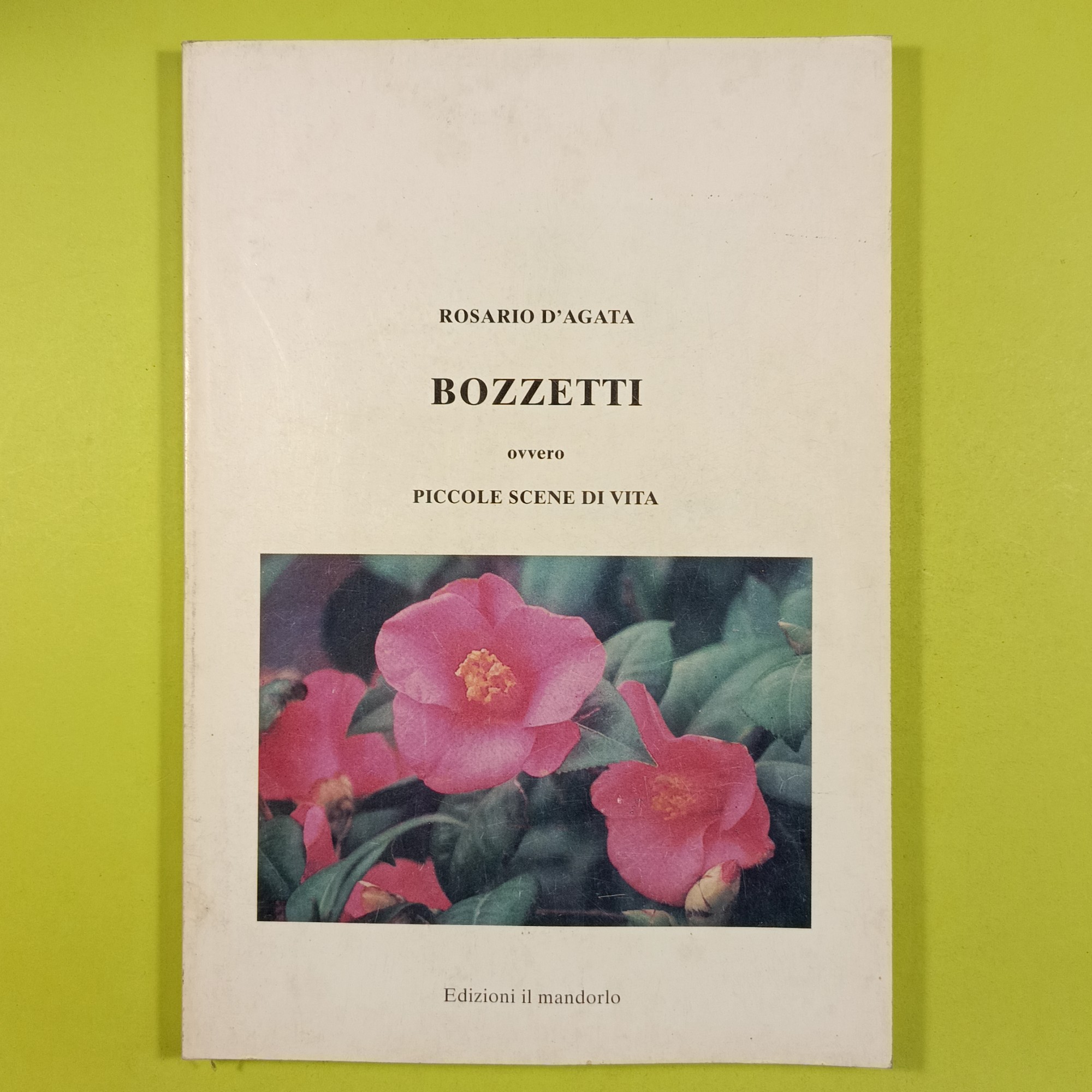 BOZZETTI OVVERO PICCOLE SCENE DI VITA