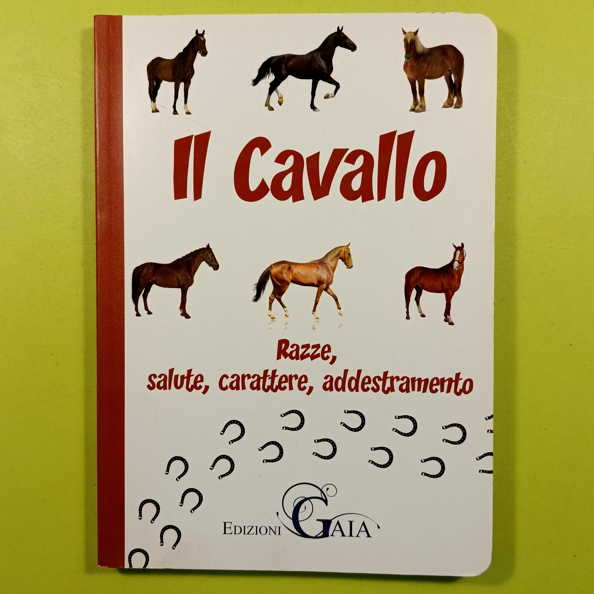 IL CAVALLO