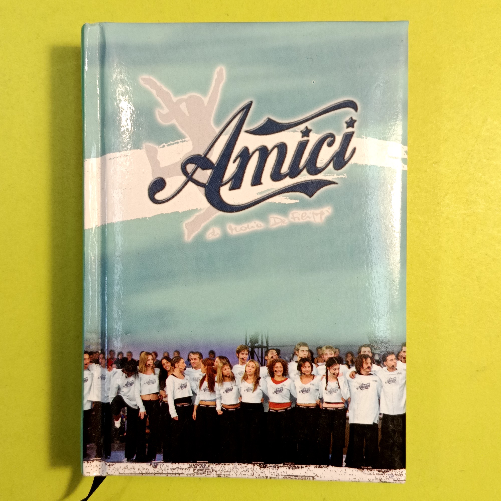 DIARIO SCOLASTICO AMICI
