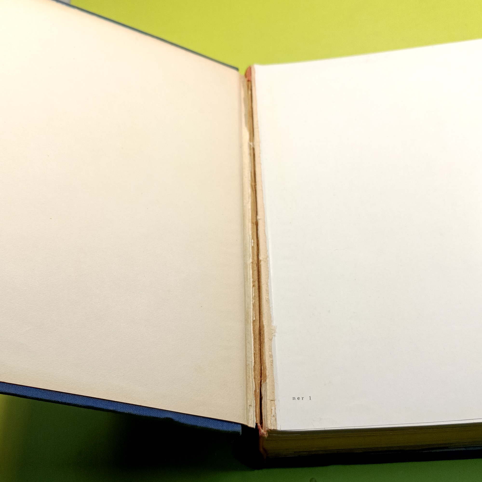 NUOVA ENCICLOPEDIA ILLUSTRATA DEI RAGAZZI COMPLETA - immagine 4