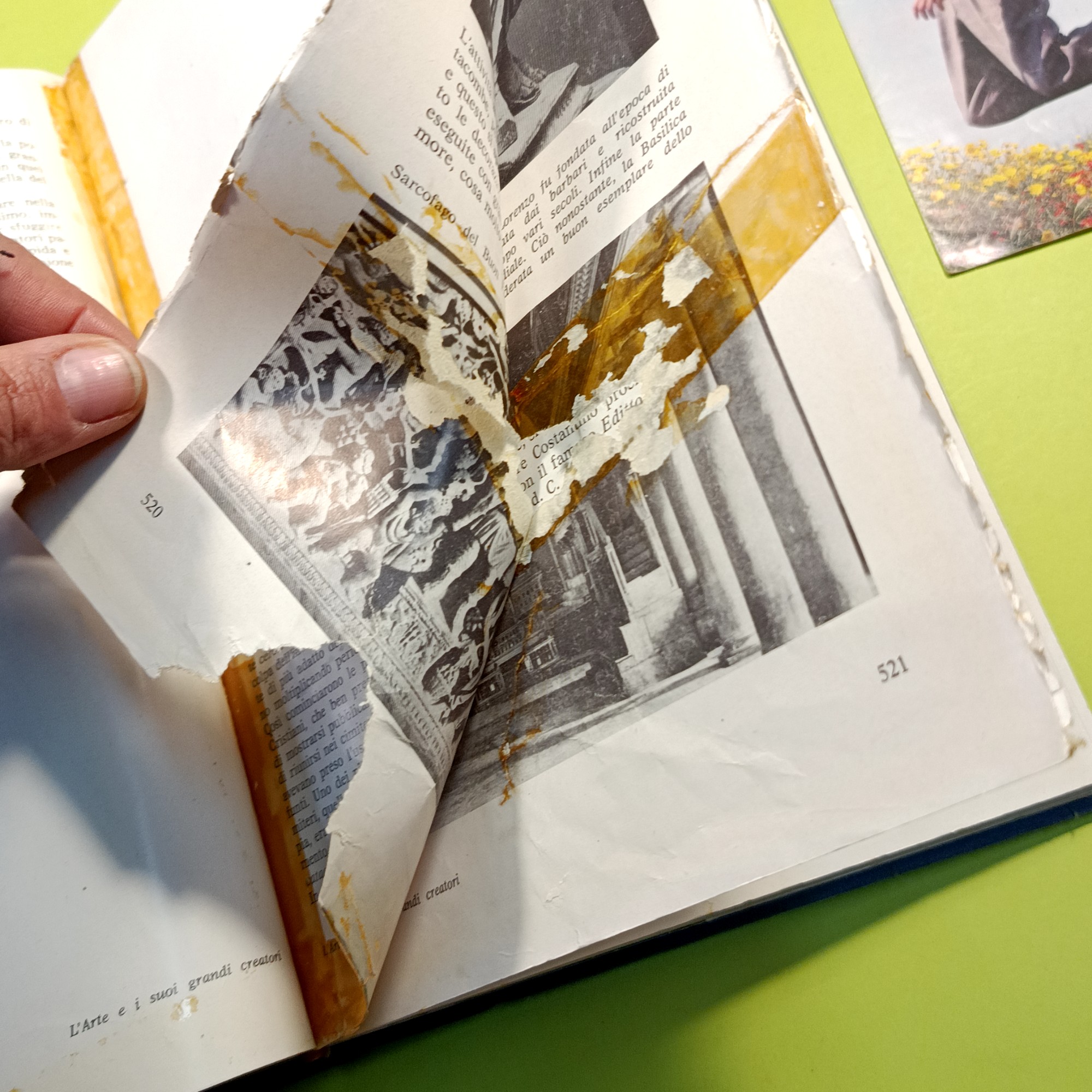 NUOVA ENCICLOPEDIA ILLUSTRATA DEI RAGAZZI COMPLETA - immagine 6