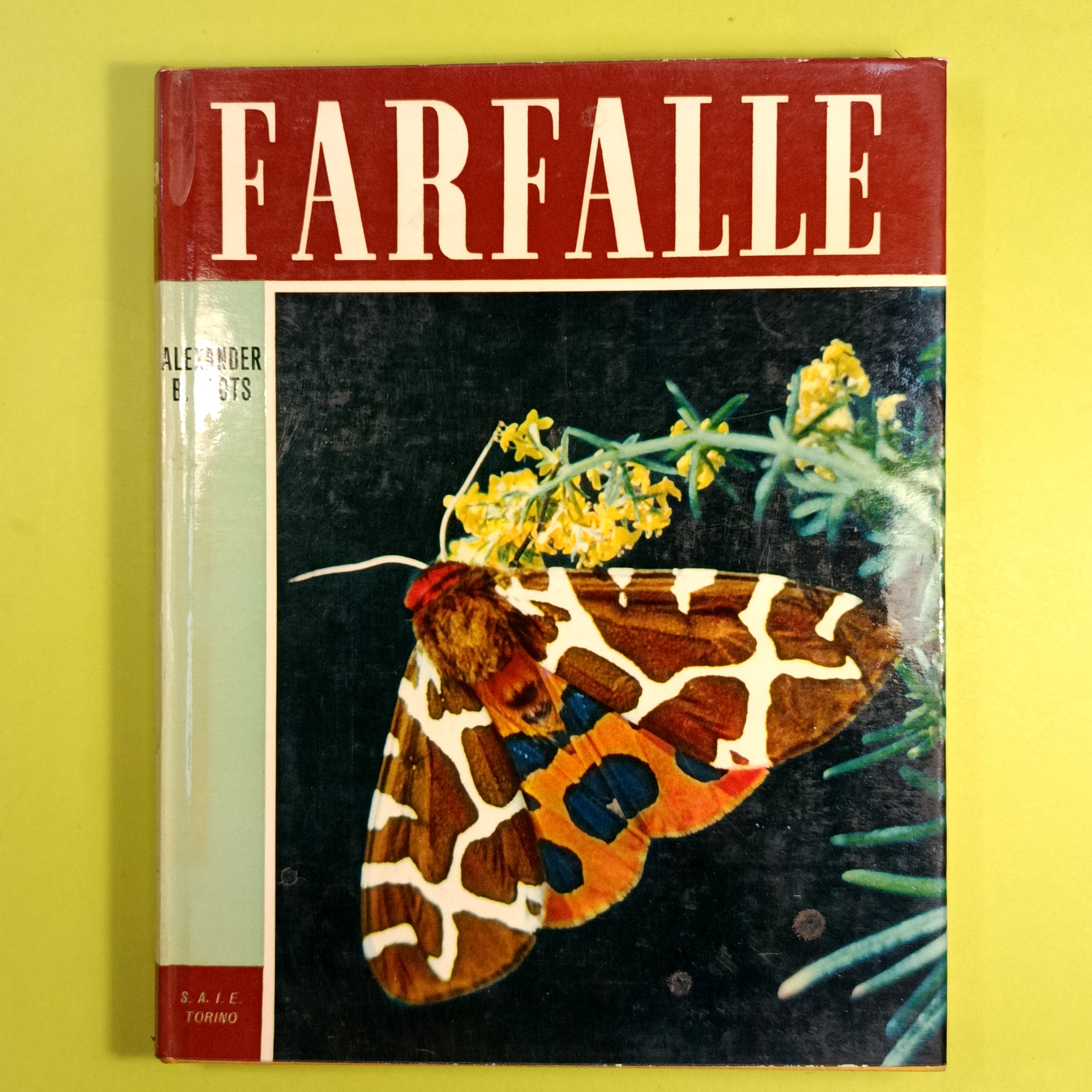 VITA E COSTUMI DELLE FARFALLE
