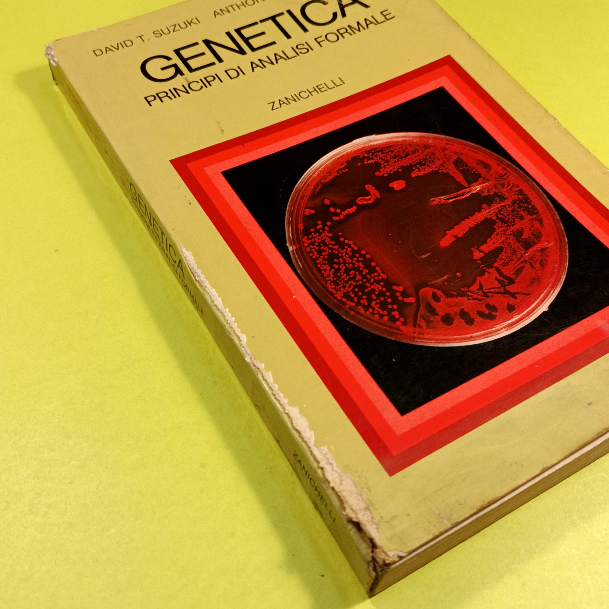 GENETICA - immagine 2