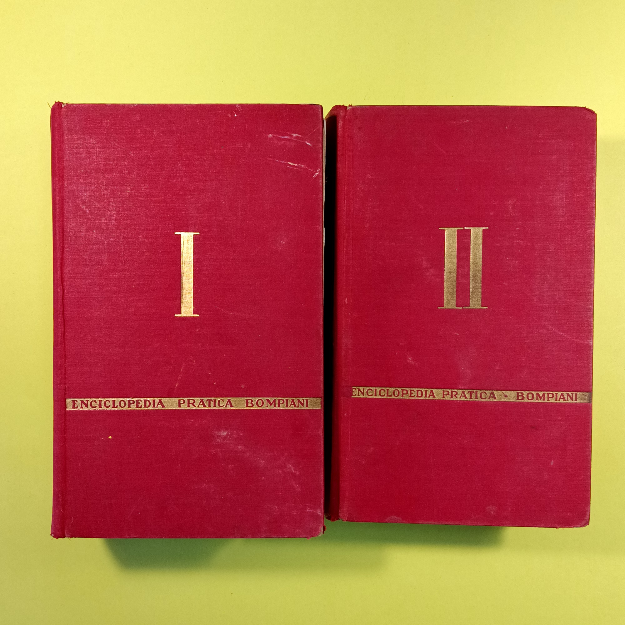 ENCICLOPEDIA PRATICA BOMPIANI