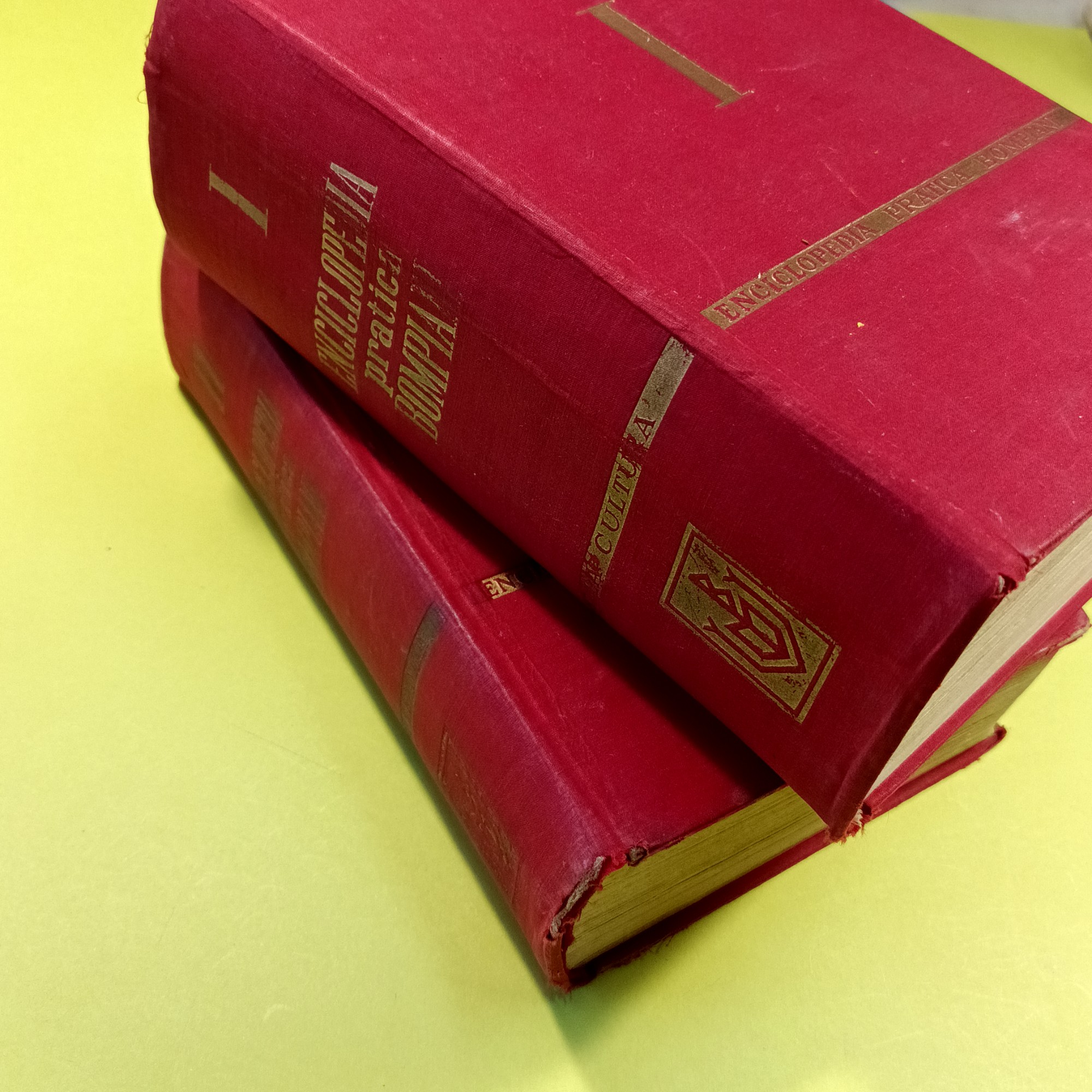 ENCICLOPEDIA PRATICA BOMPIANI - immagine 2