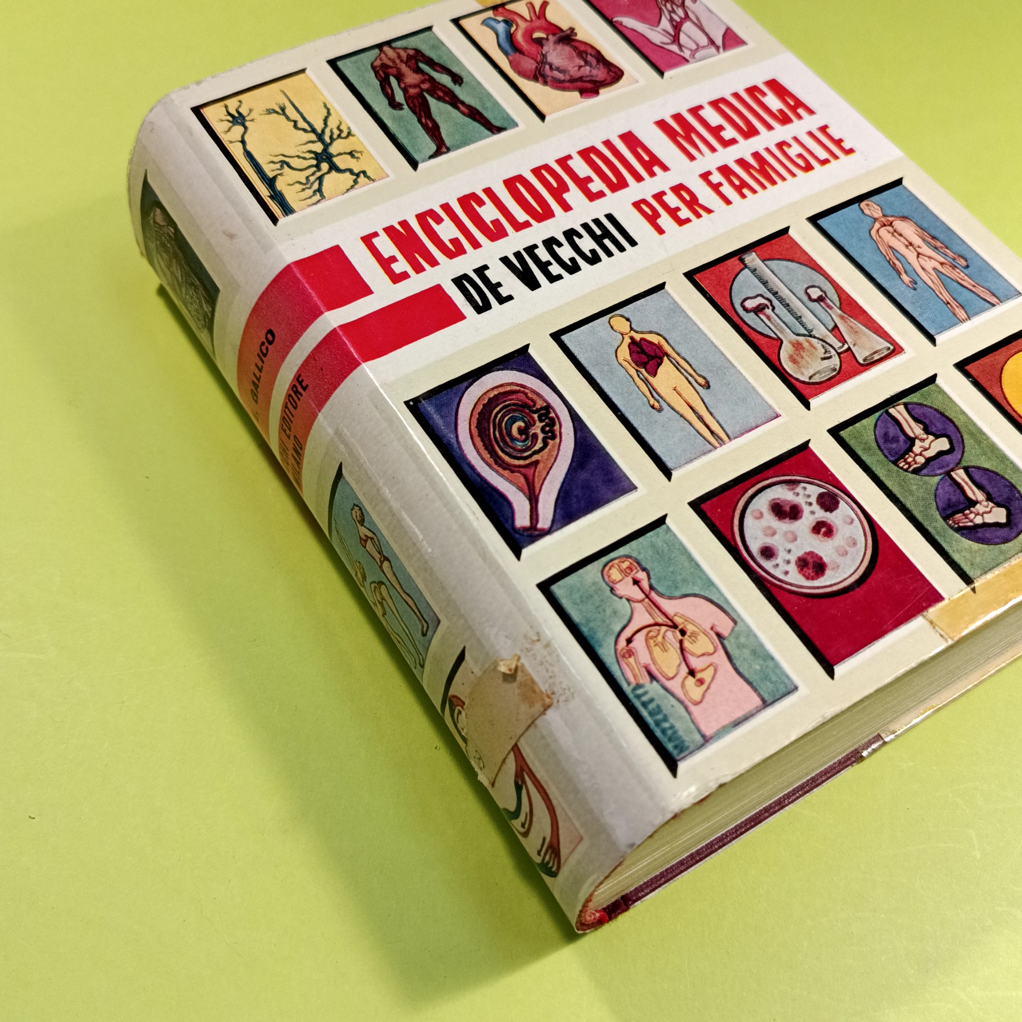 ENCICLOPEDIA MEDICA PER FAMIGLIE - immagine 2