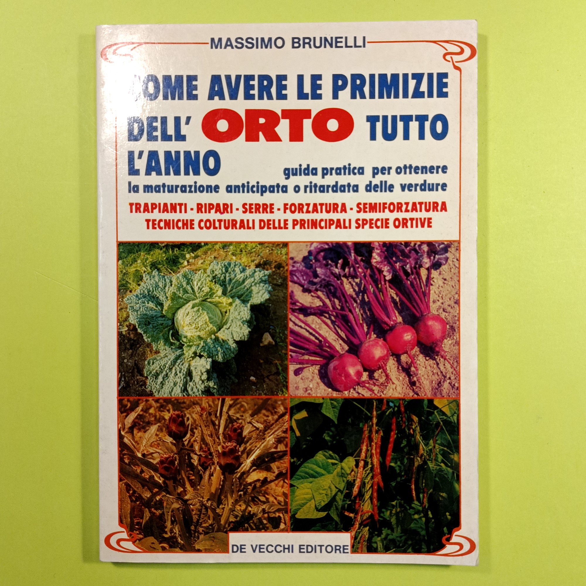 COME AVERE LE PRIMIZIE DEL'ORTO