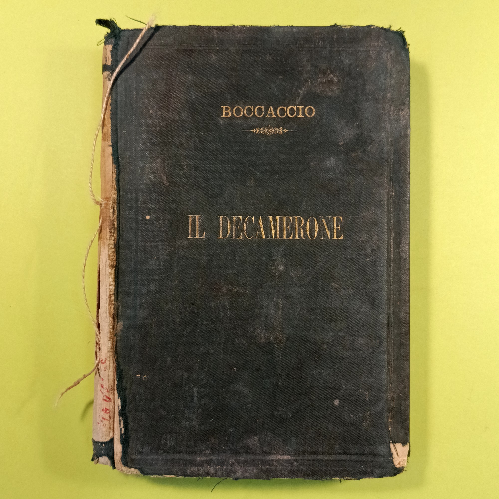 IL DECAMERONE