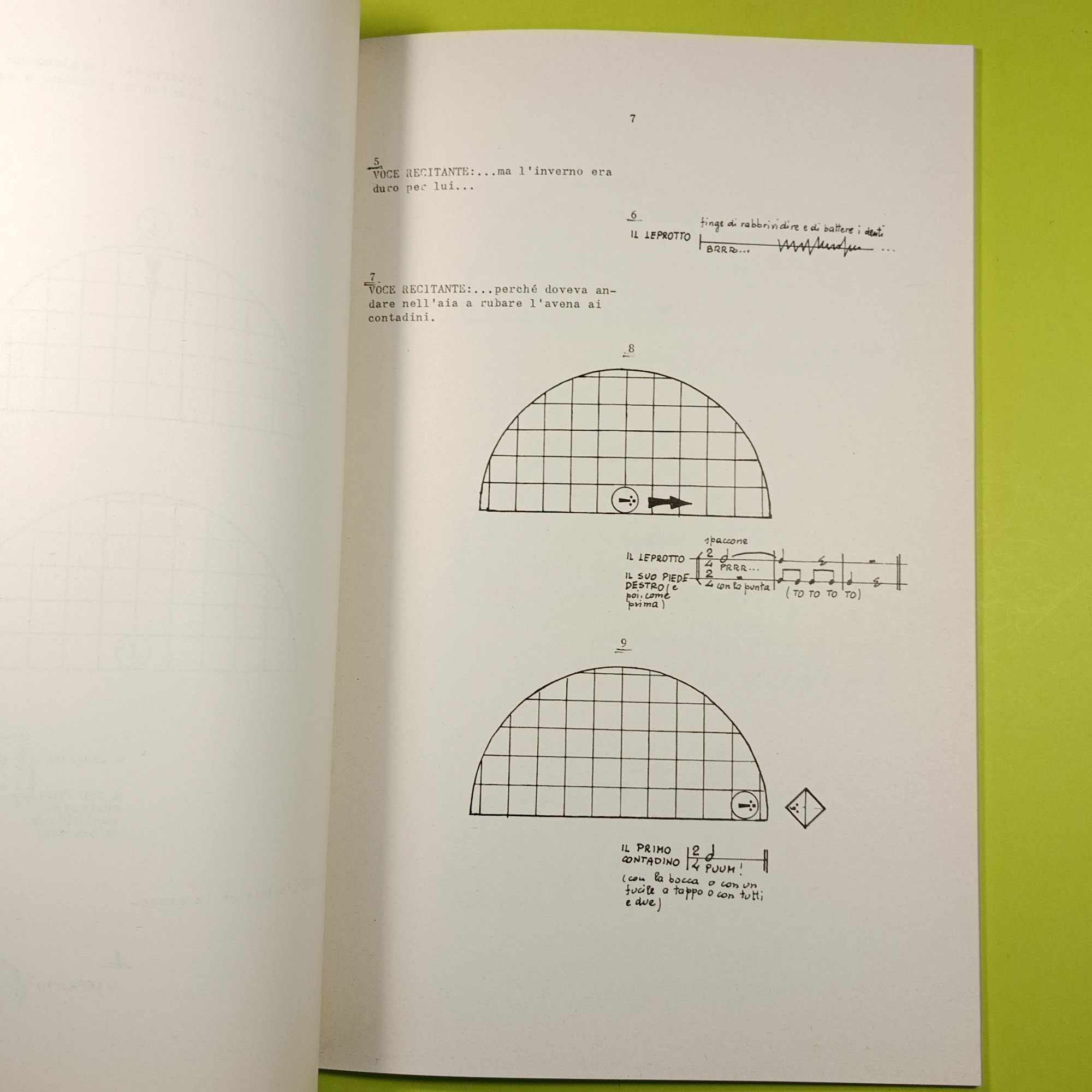 IL LEPROTTO SPACCONE - immagine 5