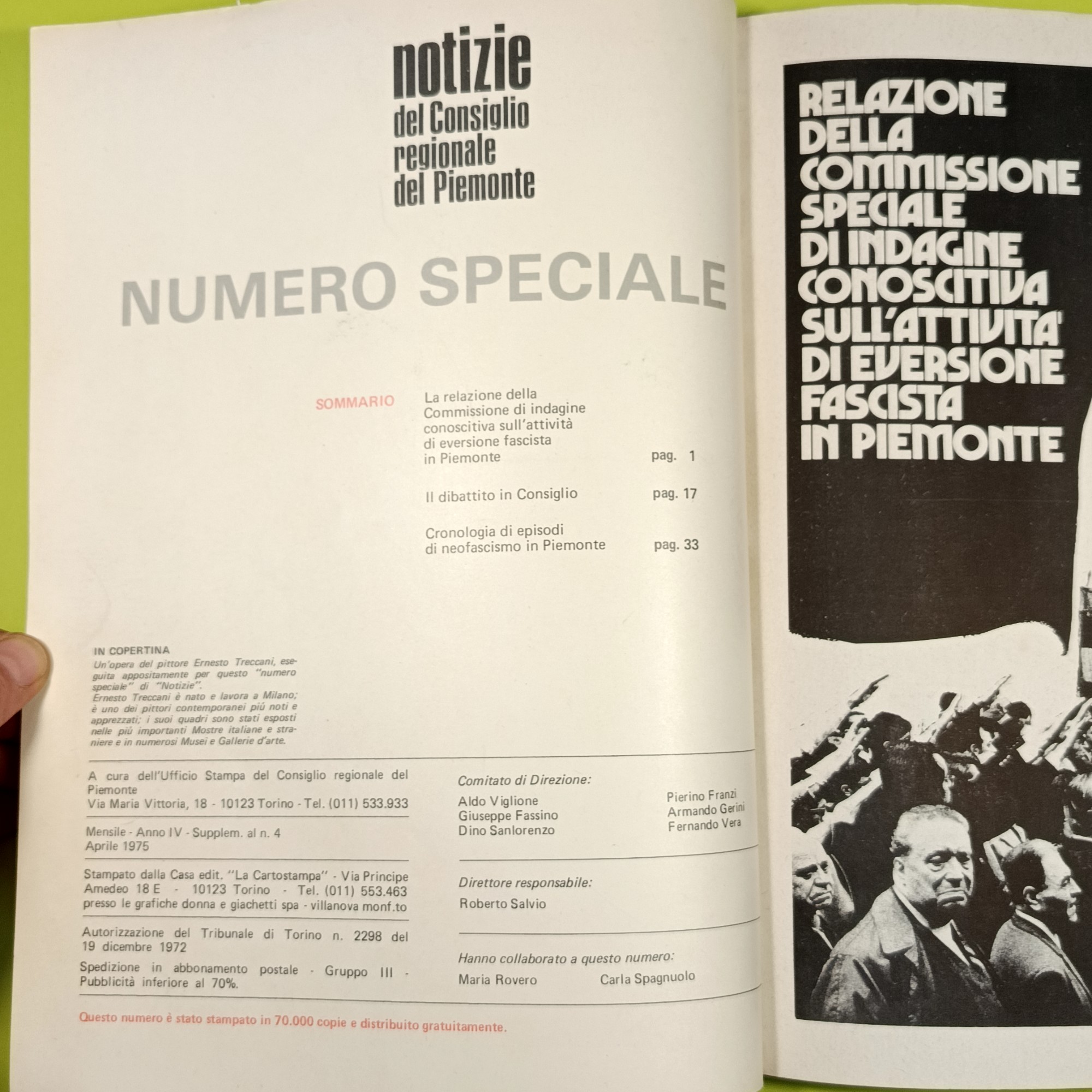 L'INDAGINE SULL'ATTIVITÀ NEOFASCISTA IN PIEMONTE - immagine 2