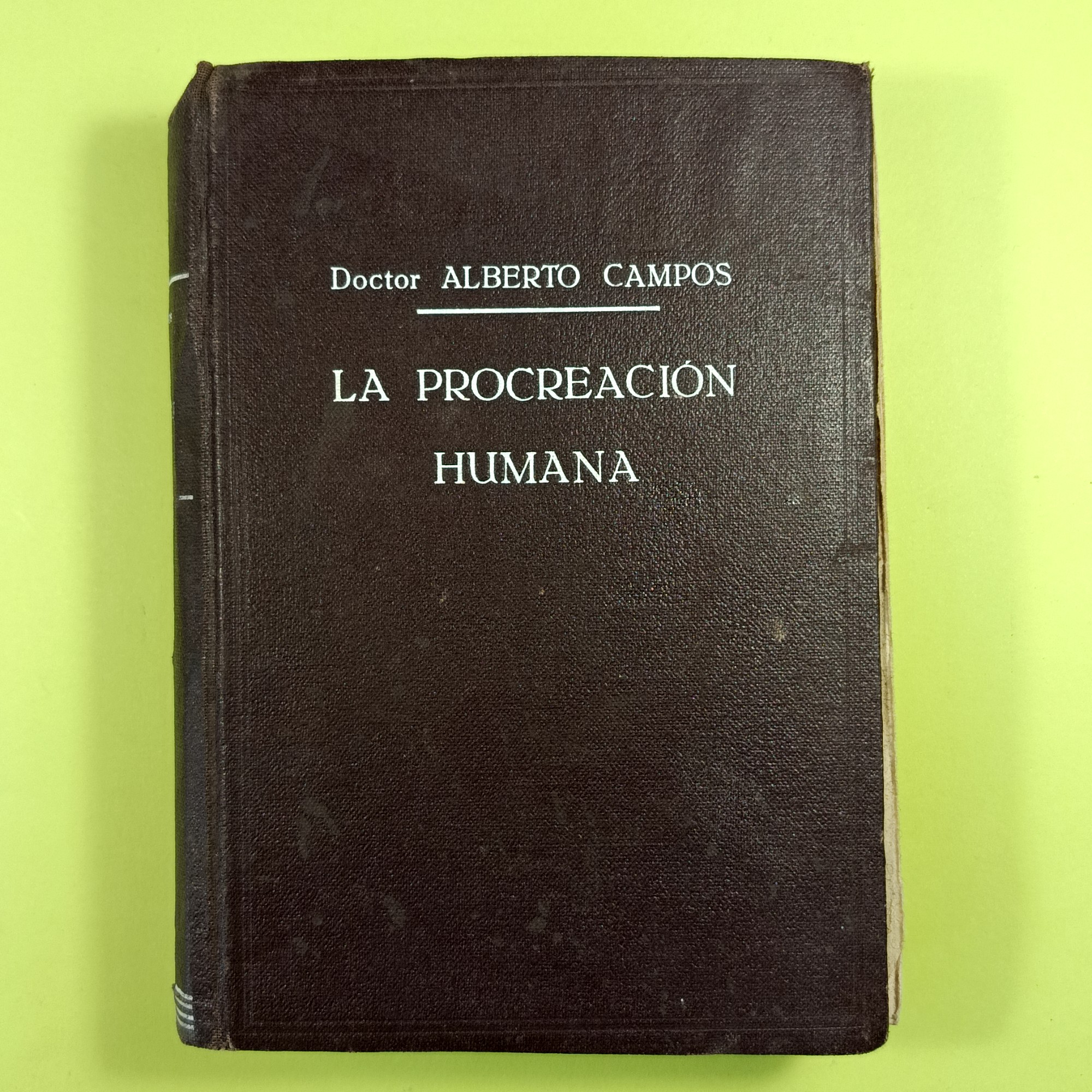 LA PROCREACION HUMANA