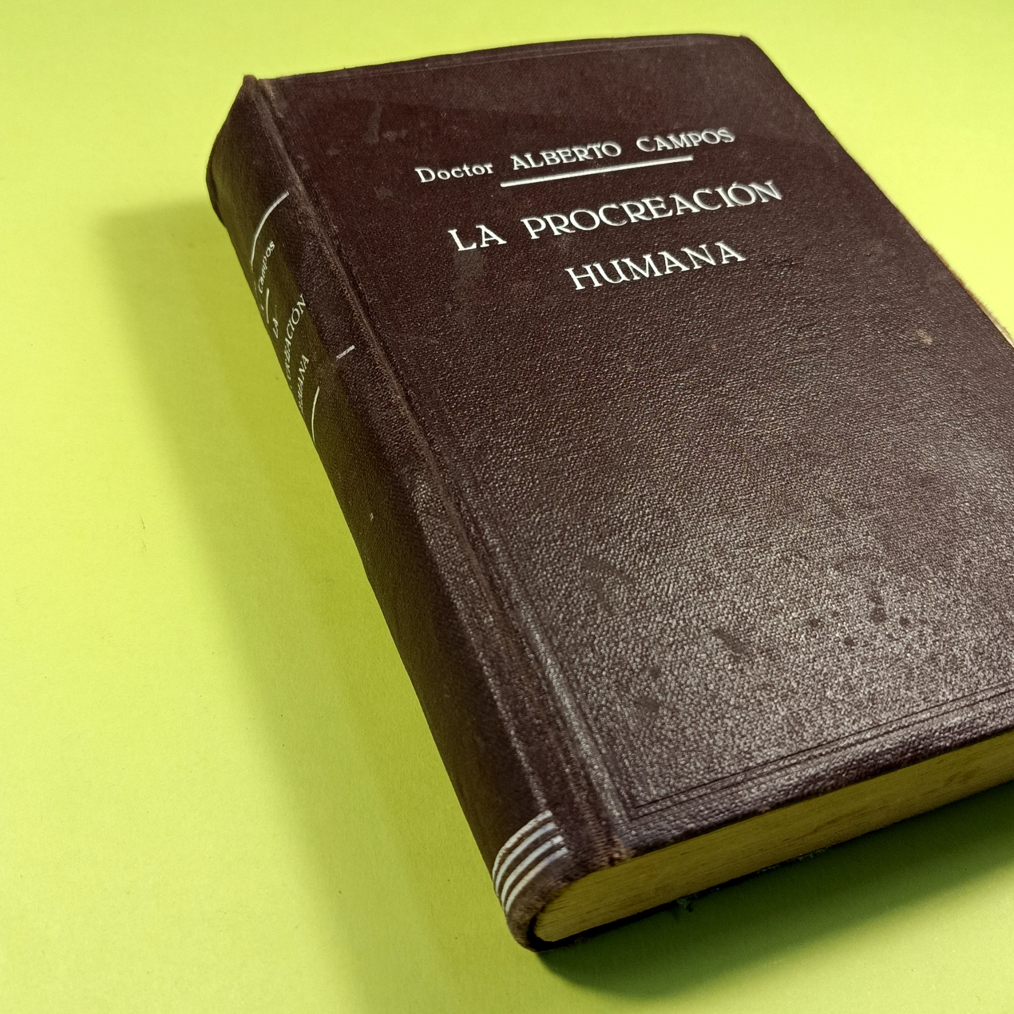LA PROCREACION HUMANA - immagine 2