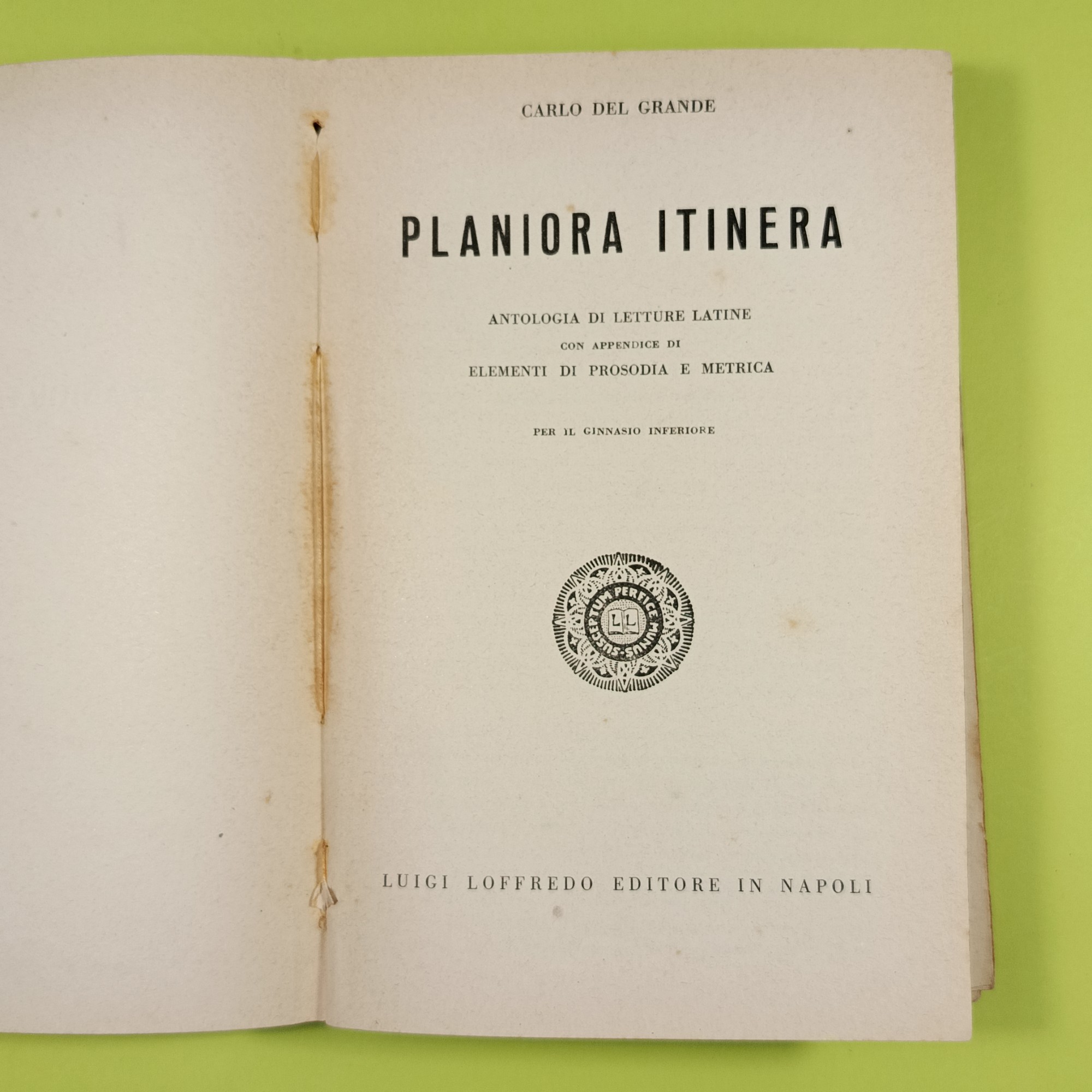 PLANIORA ITINERA - immagine 4