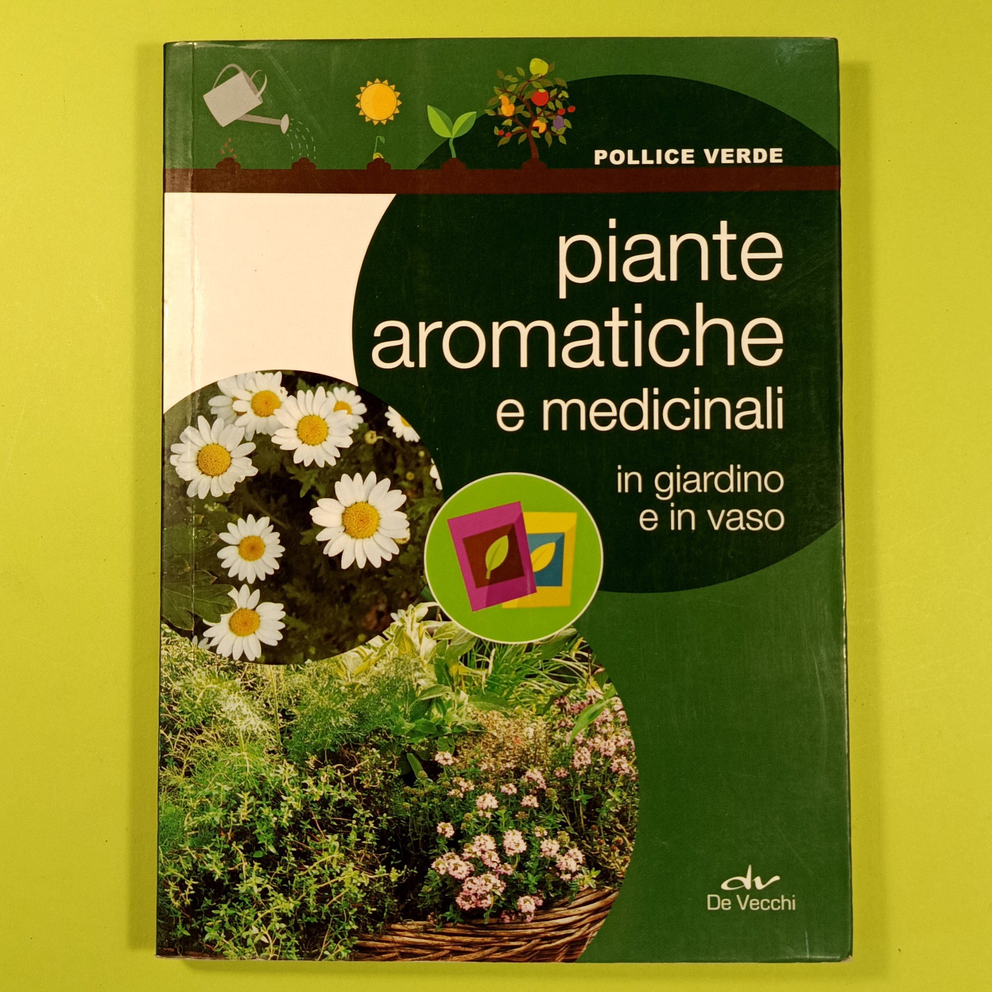 PIANTE AROMATICHE E MEDICINALI