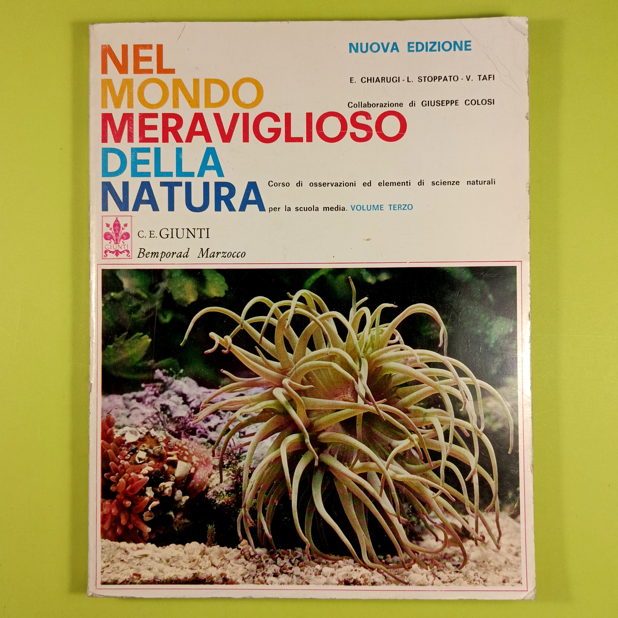 NEL MONDO MERAVIGLIOSO DELLA NATURA