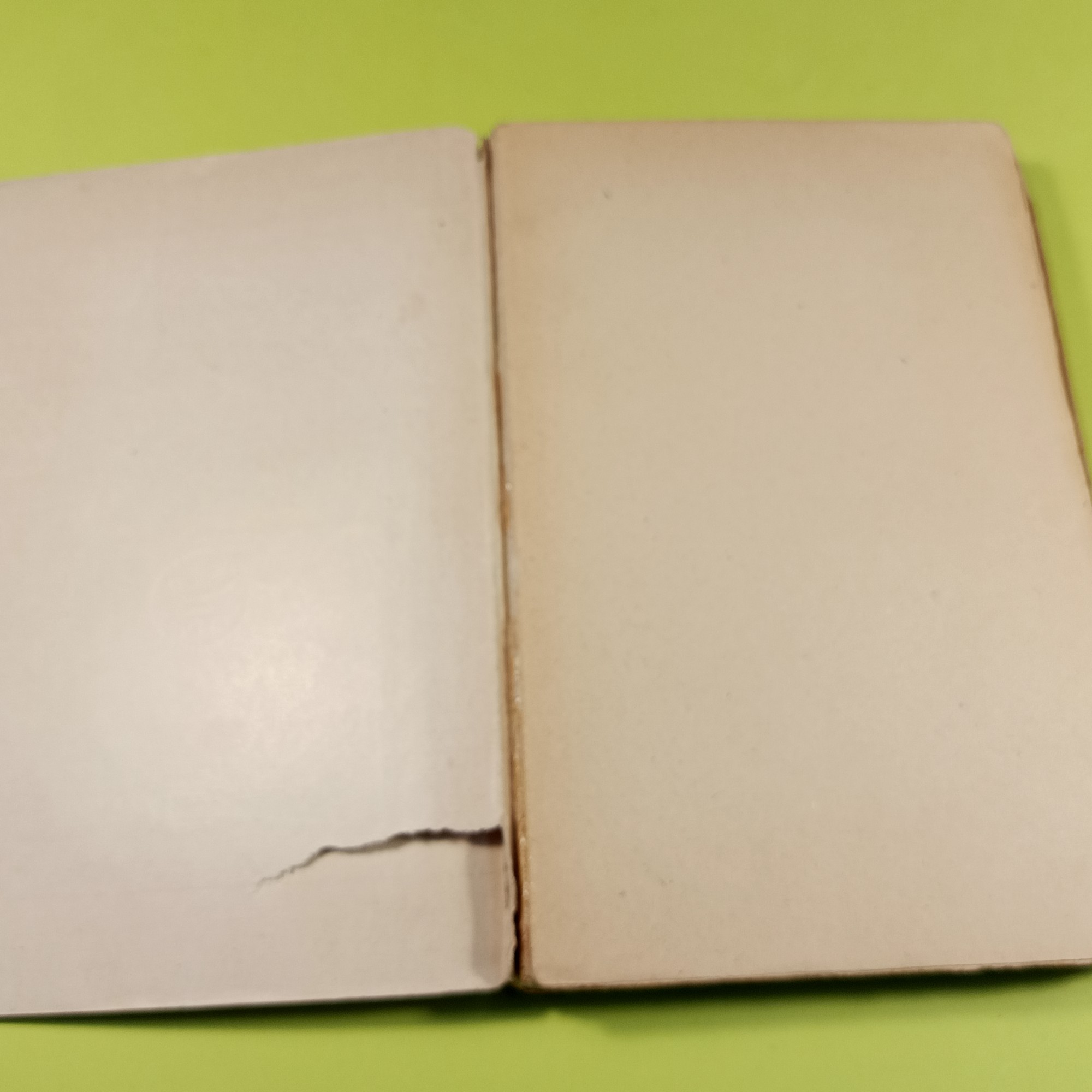 FIGURE DI POETI E VISIONI DI POESIA - immagine 3
