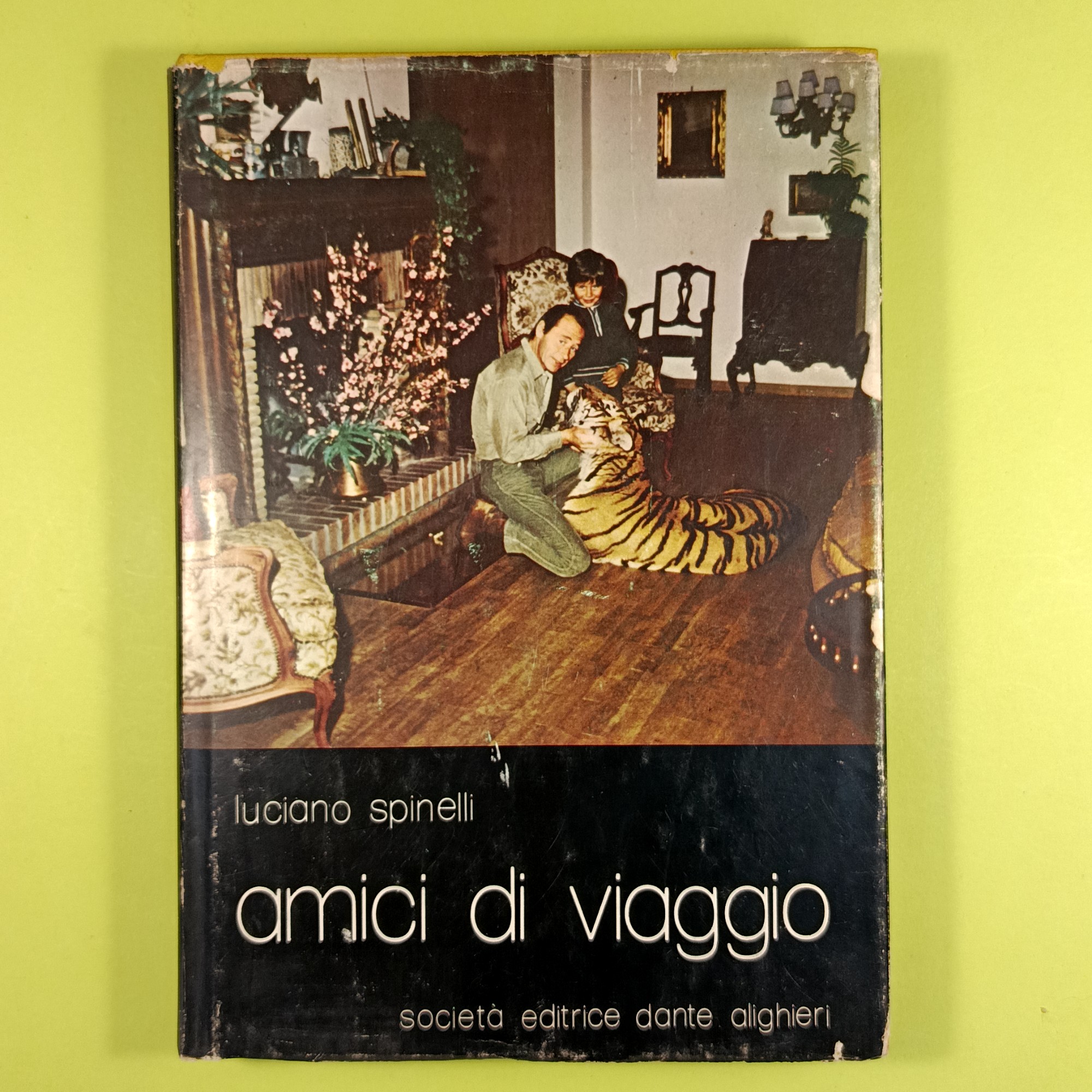 AMICI DI VIAGGIO