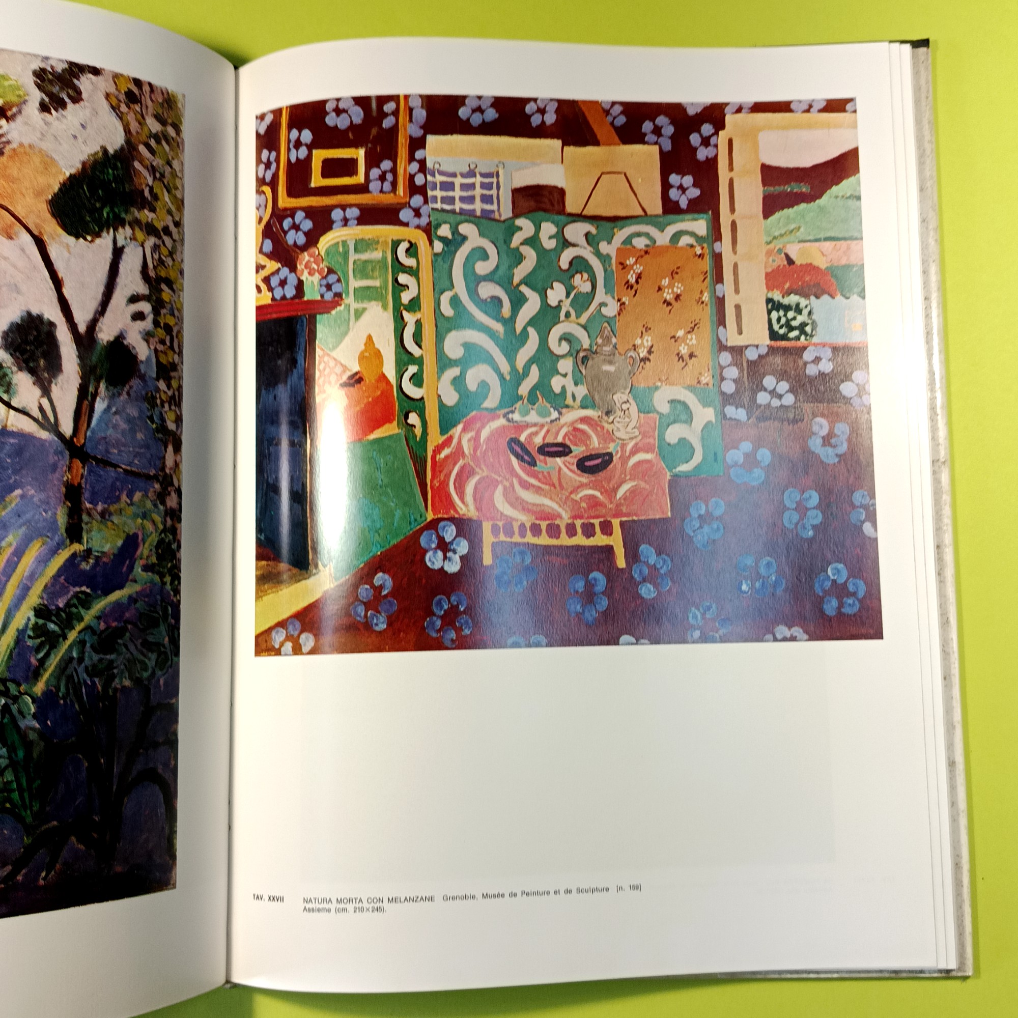 L'OPERA DI MATISSE - immagine 3