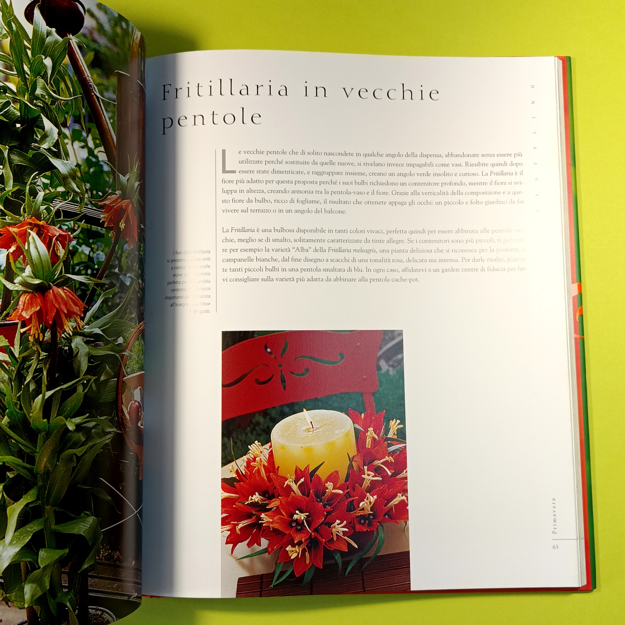 GIARDINI IN VASO - immagine 3