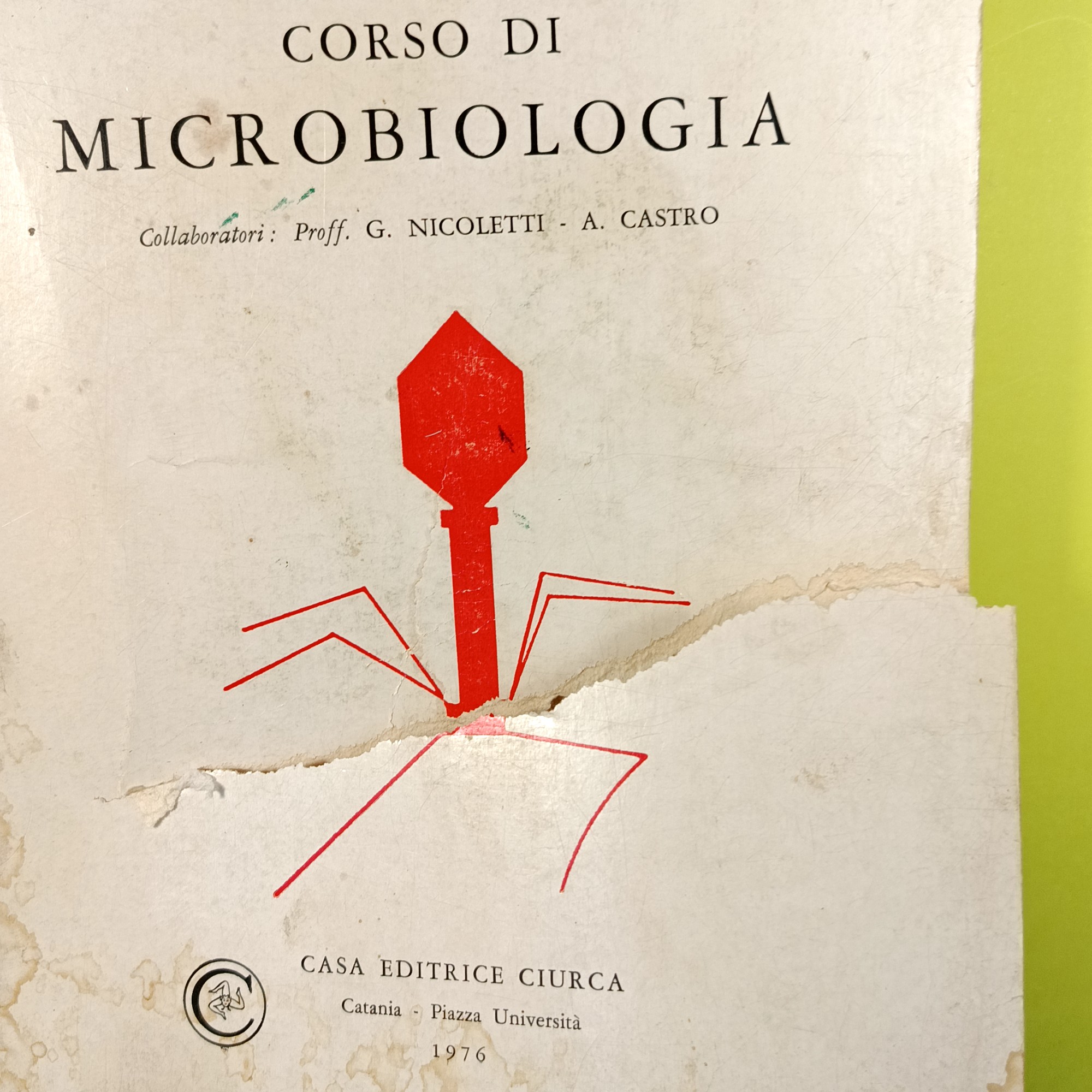 CORSO DI MICROBIOLOGIA - immagine 2