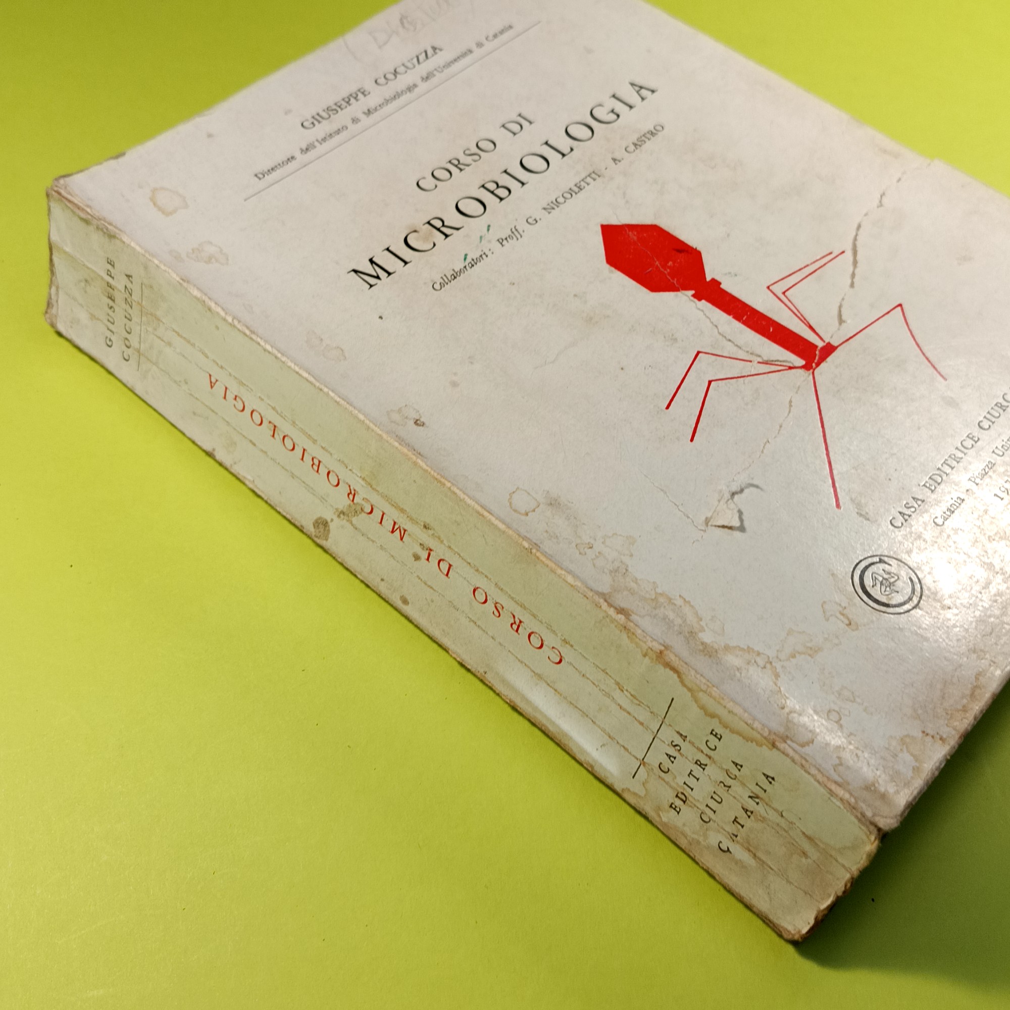 CORSO DI MICROBIOLOGIA - immagine 3