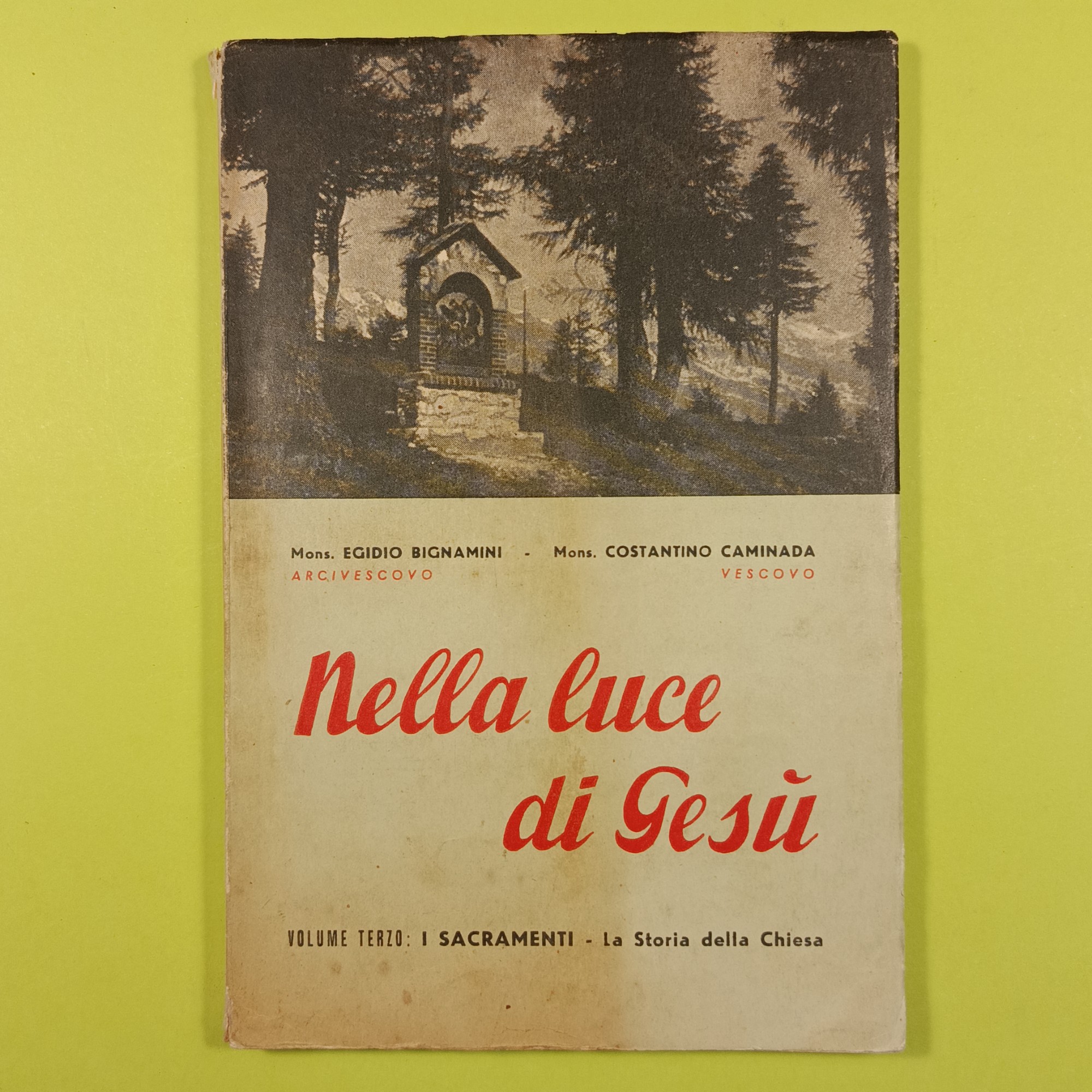 NELLA LUCE DI GESU'