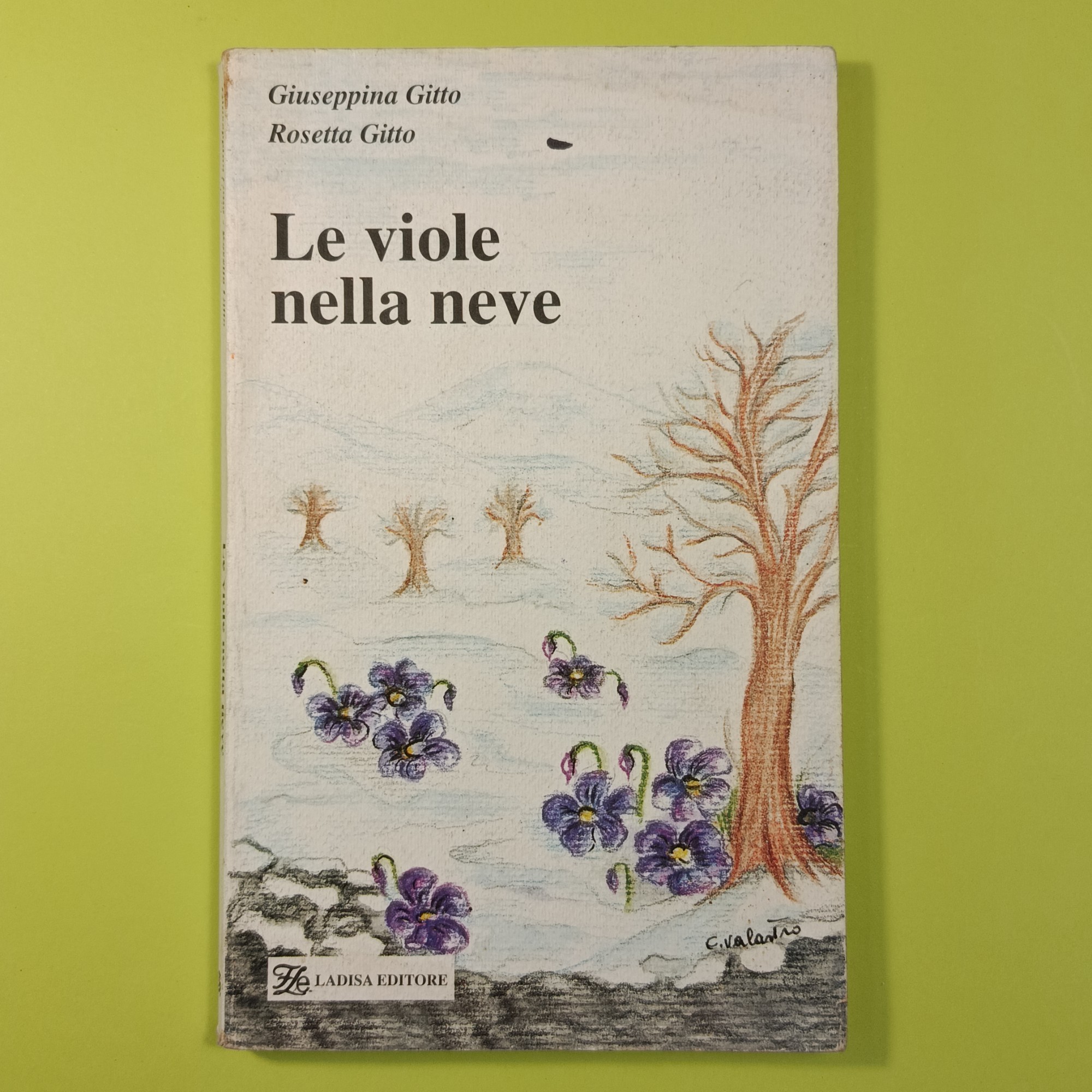 LE VIOLE NELLA NEVE