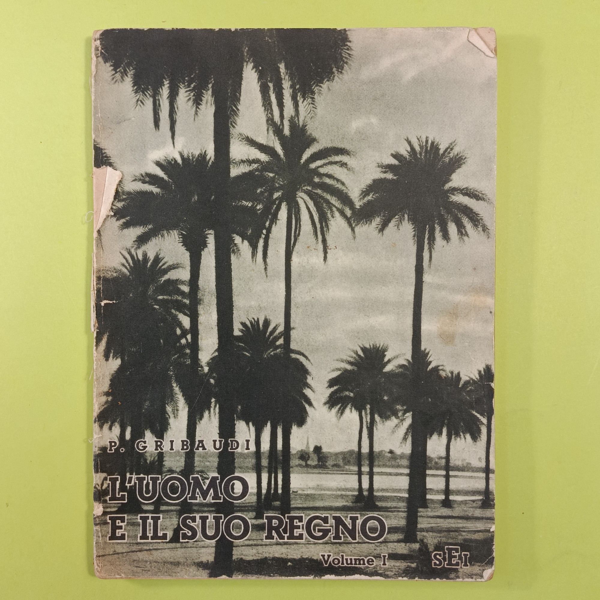 L'UOMO E IL SUO REGNO