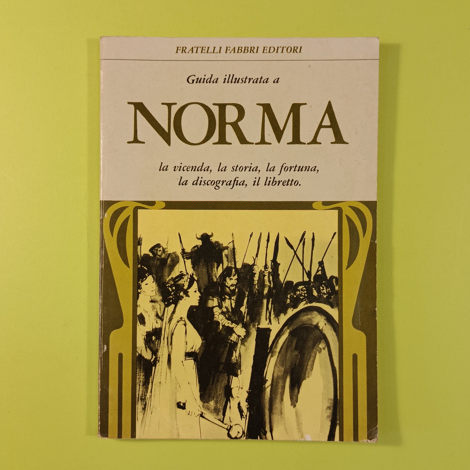 GUIDA ILLUSTRATA A NORMA