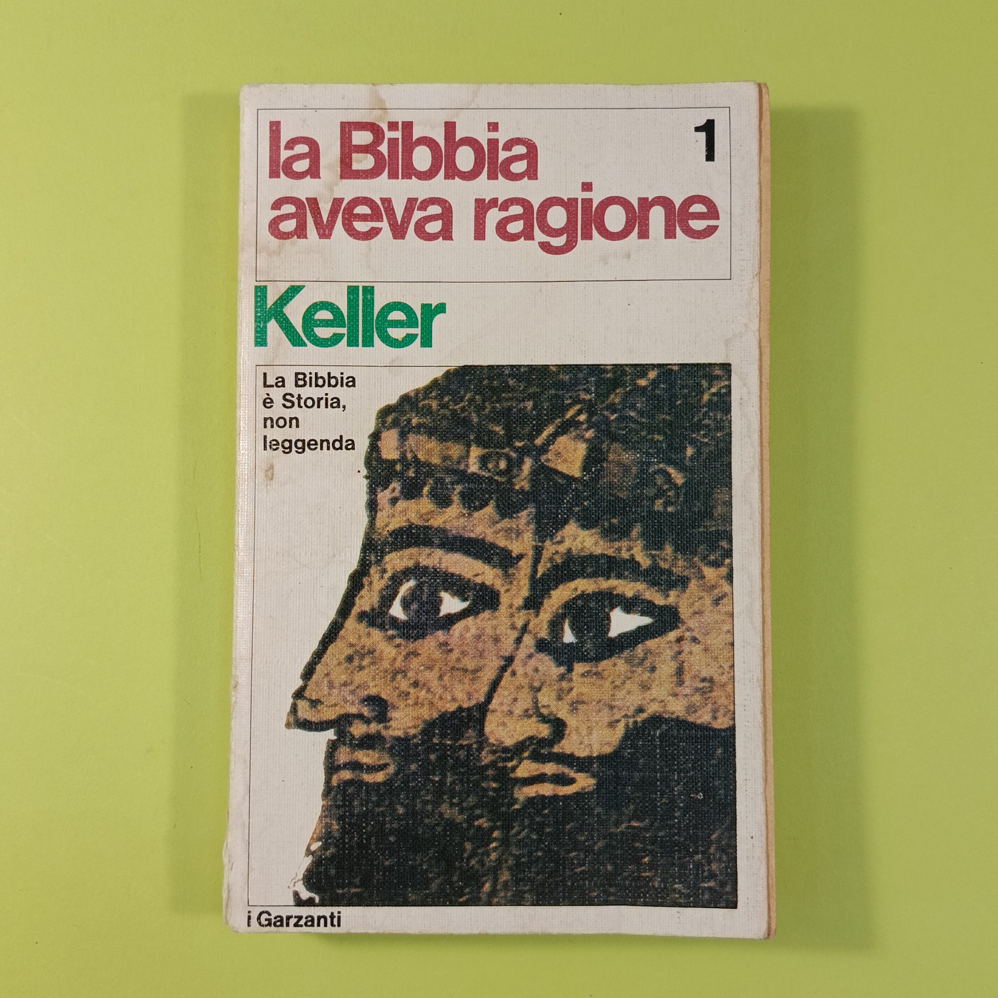 LA BIBBIA AVEVA RAGIONE VOL 1