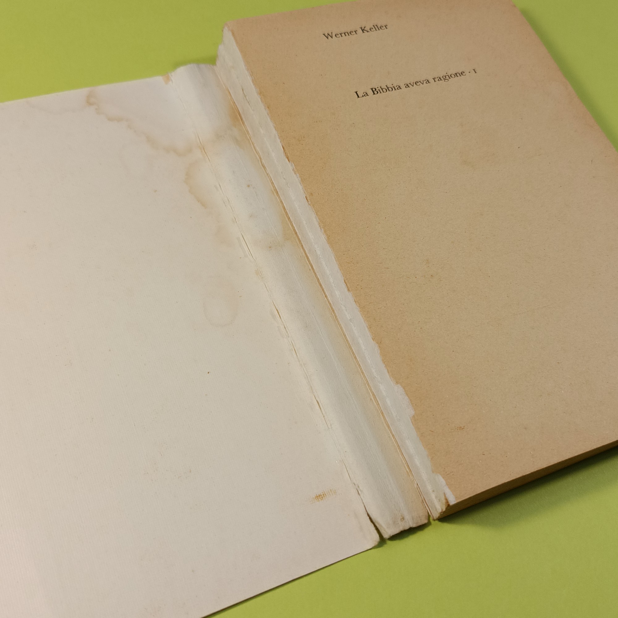 LA BIBBIA AVEVA RAGIONE VOL 1 - immagine 2