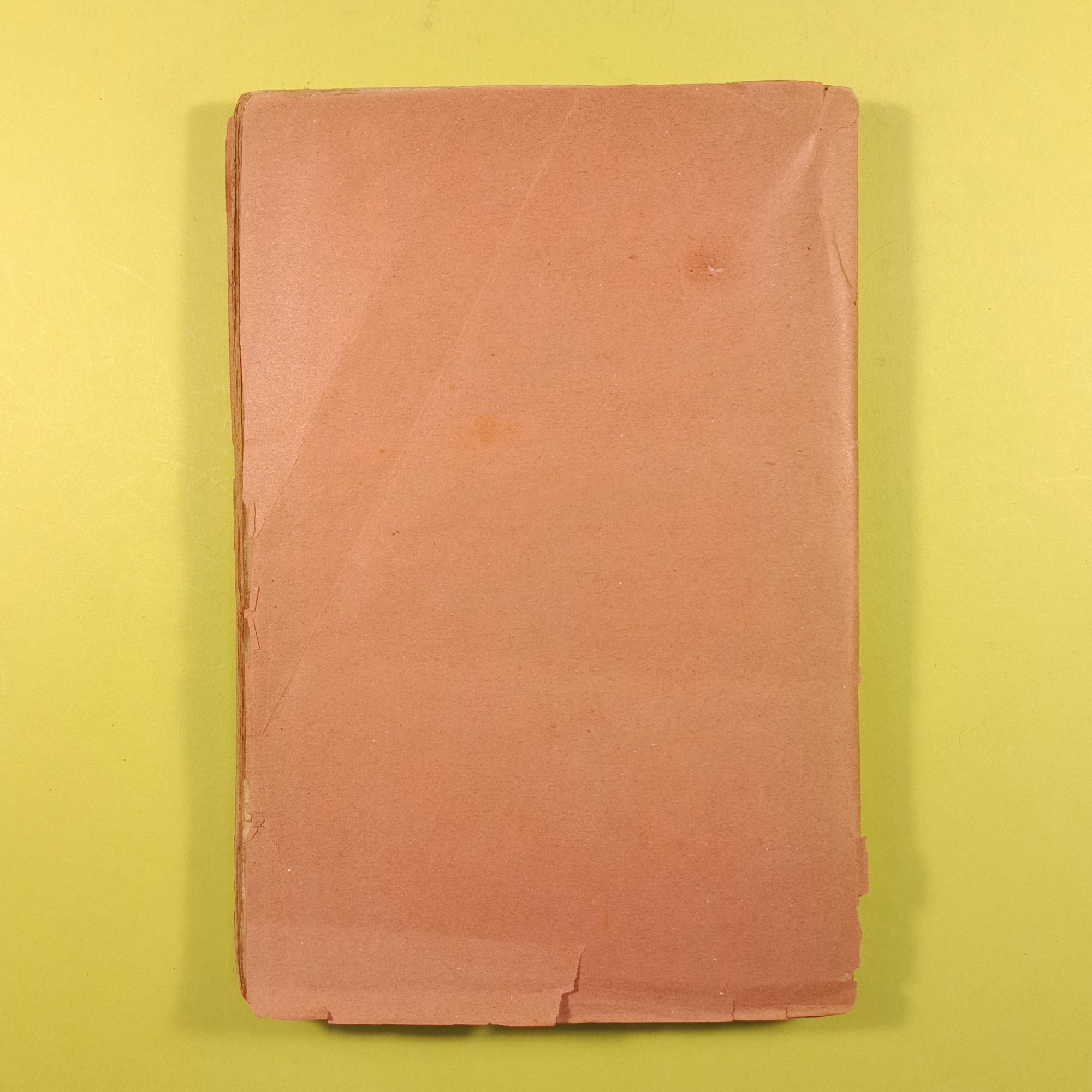 LEZIONI DI LETTERATURA ITALIANA - immagine 5