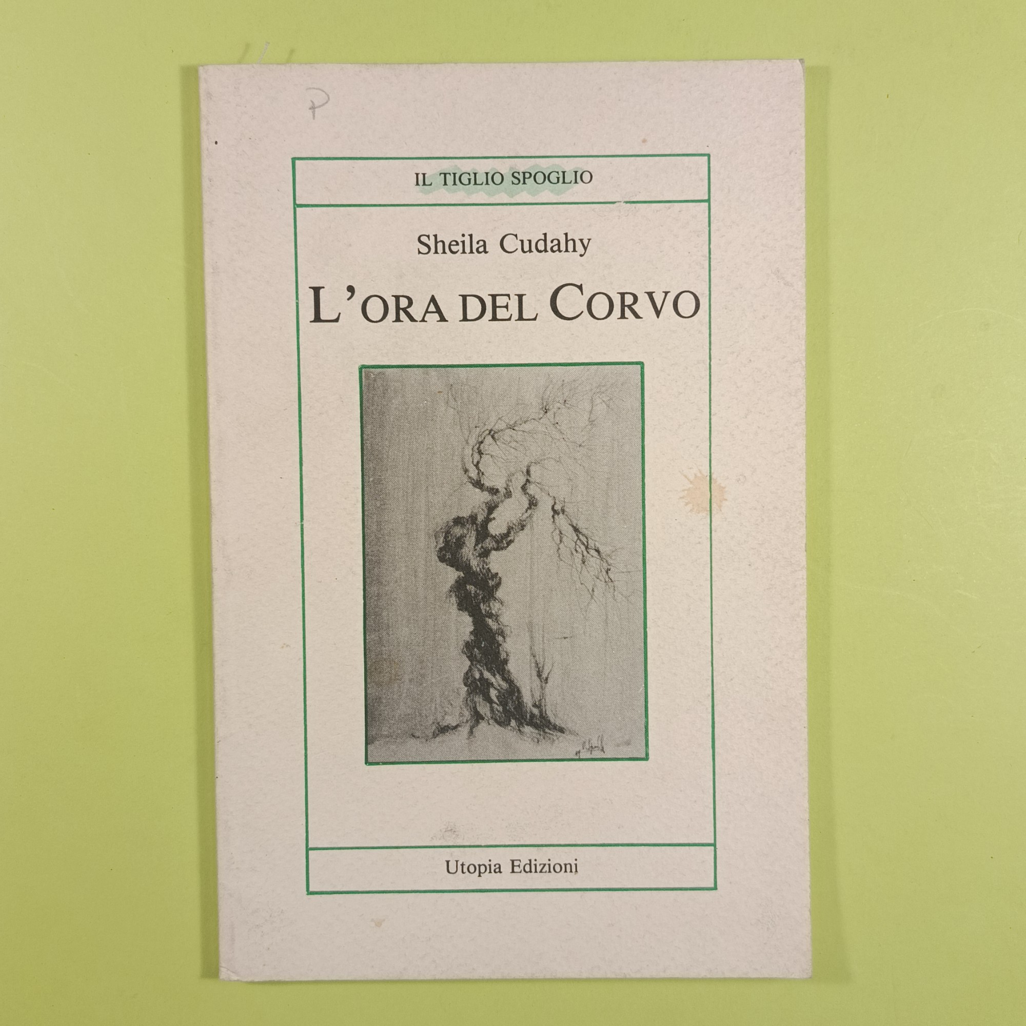 L'ORA DEL CORVO