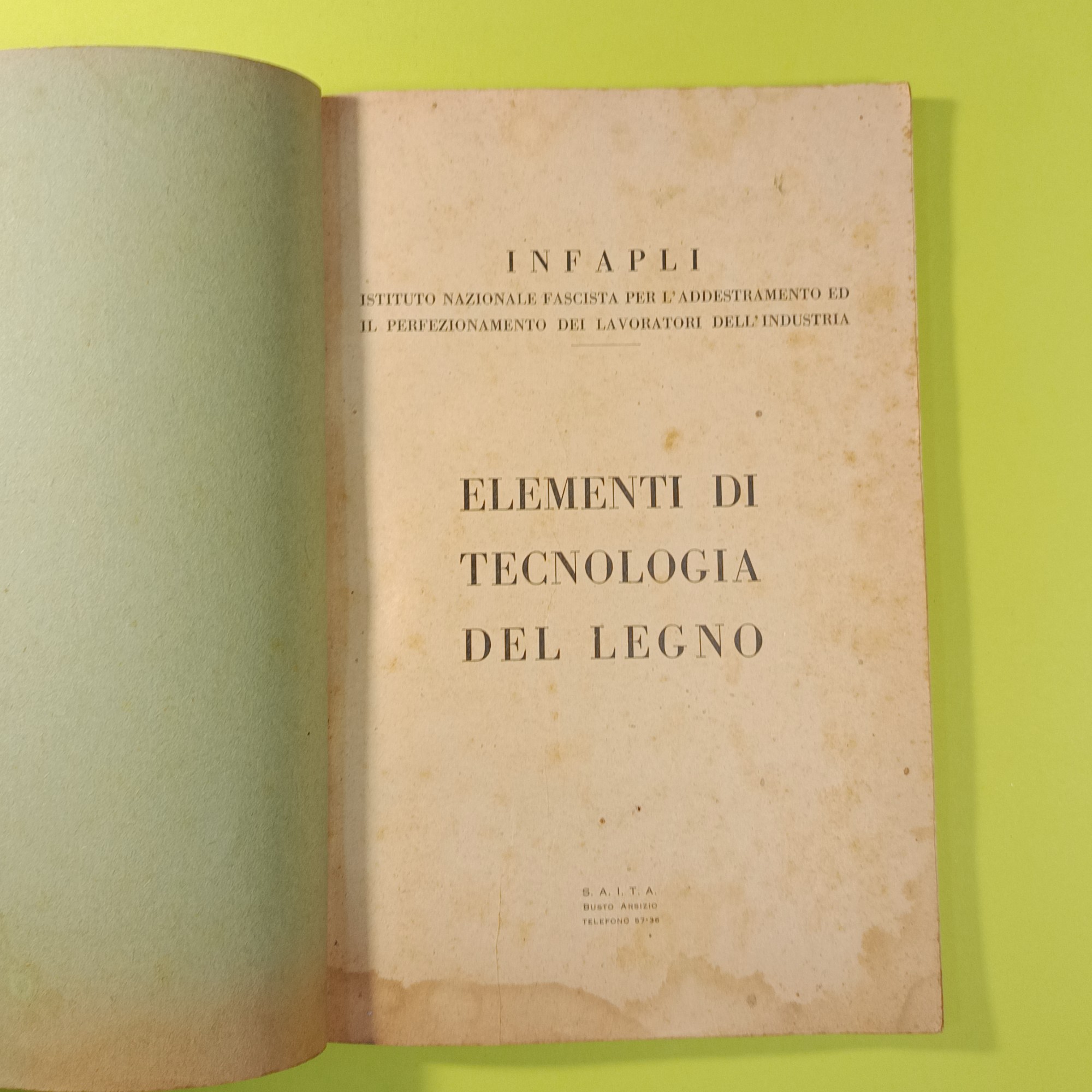 ELEMENTI DI TECNOLOGIA DEL LEGNO - immagine 2