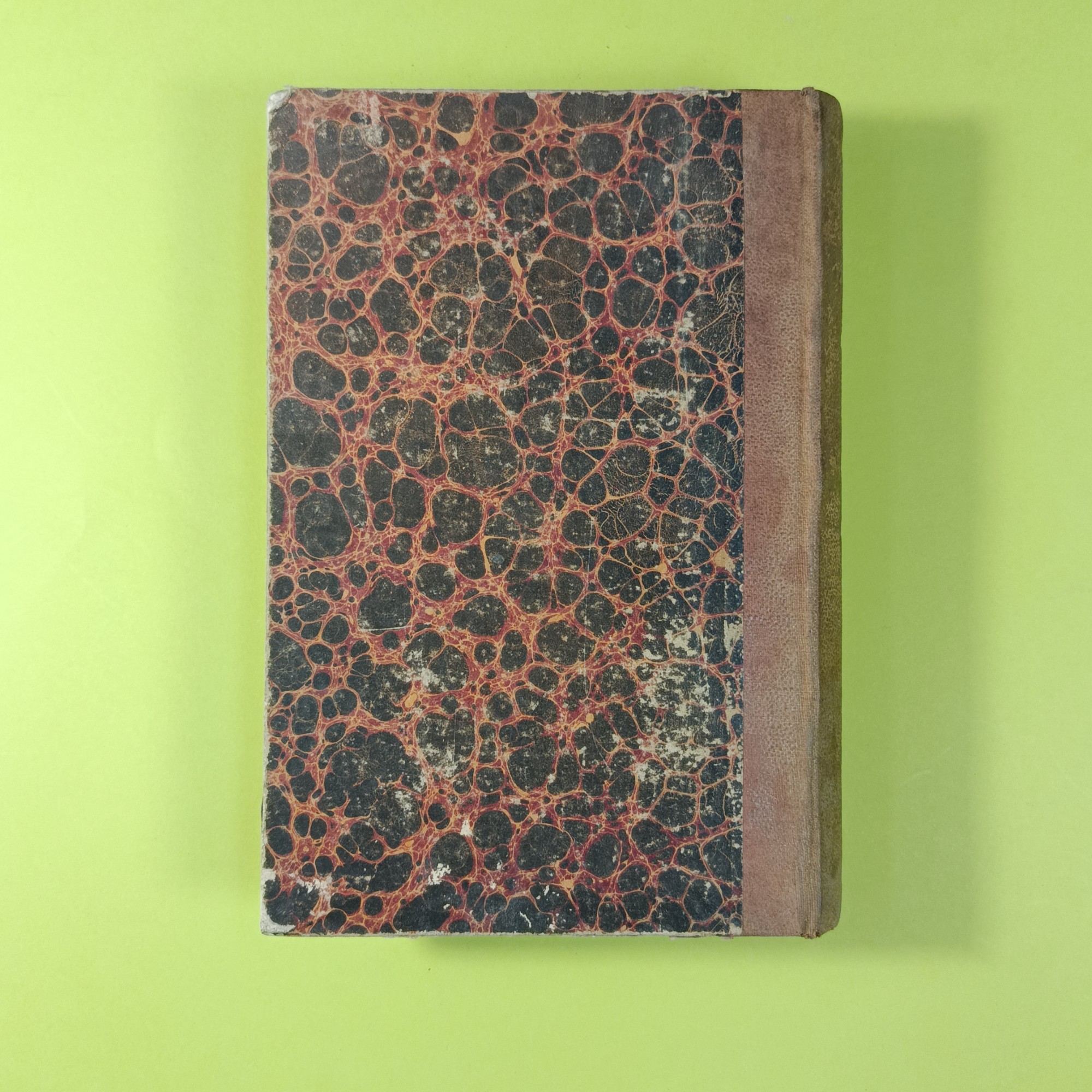 MANUALE DI STORIA MODERNA - immagine 6