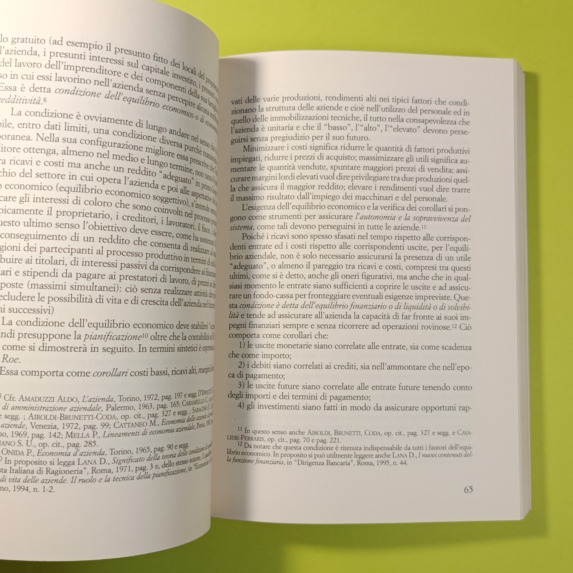INTRODUZIONE ALLO STUDIO DELL'ECONOMIA AZIENDALE - immagine 3
