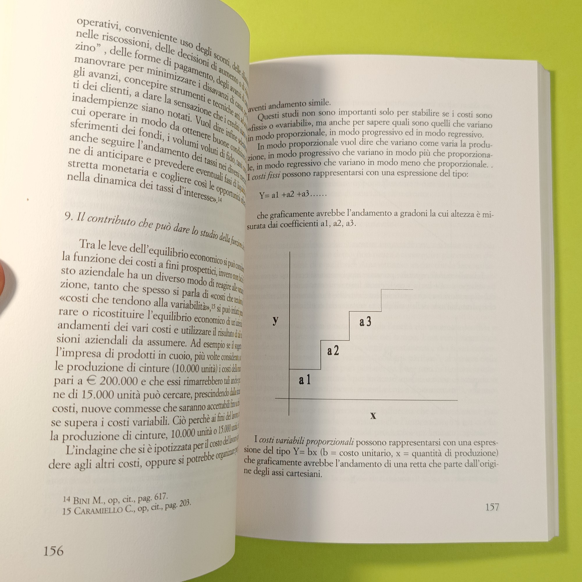 INTRODUZIONE ALLO STUDIO DELL'ECONOMIA AZIENDALE - immagine 4