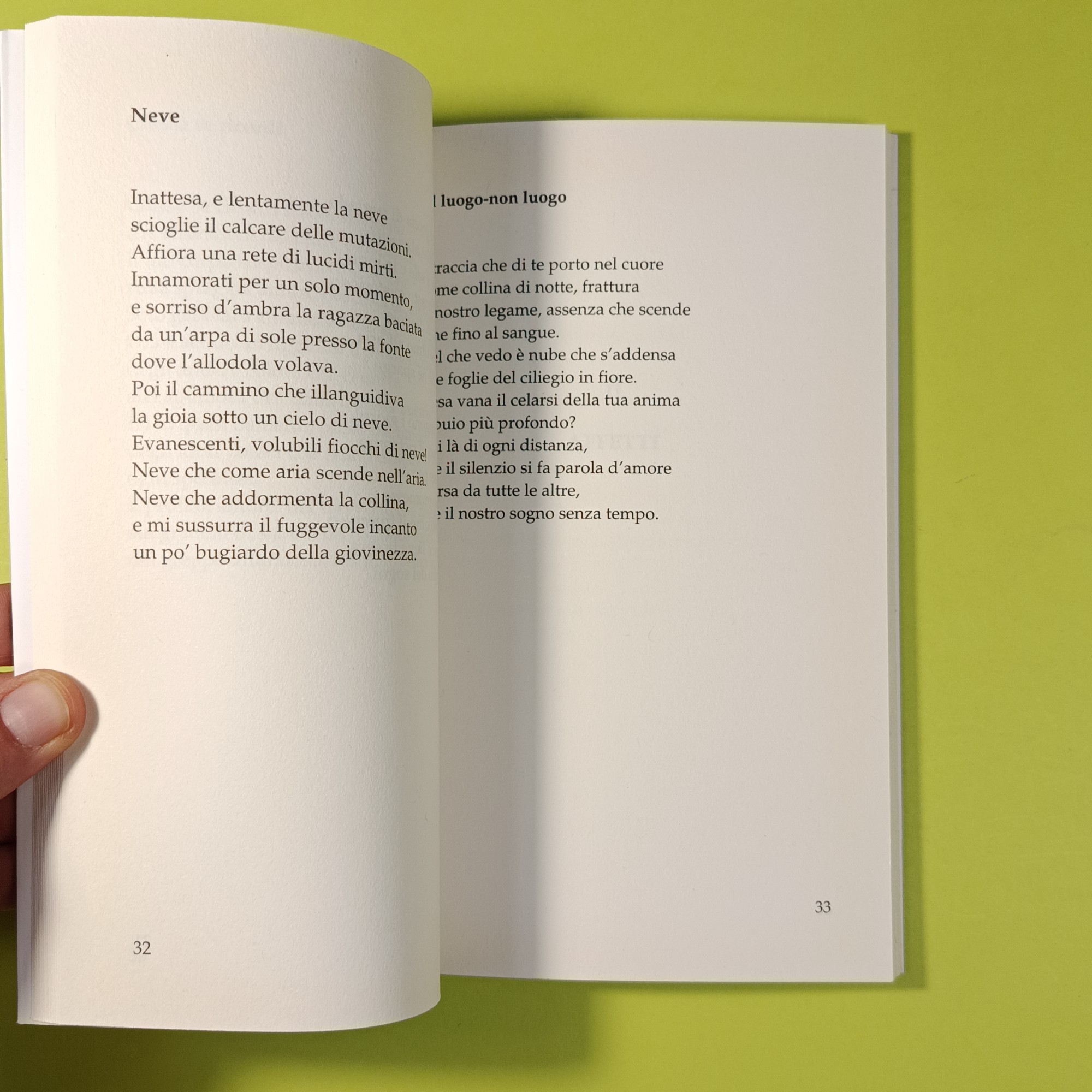 NEL TRONCO INCAVATO - immagine 2