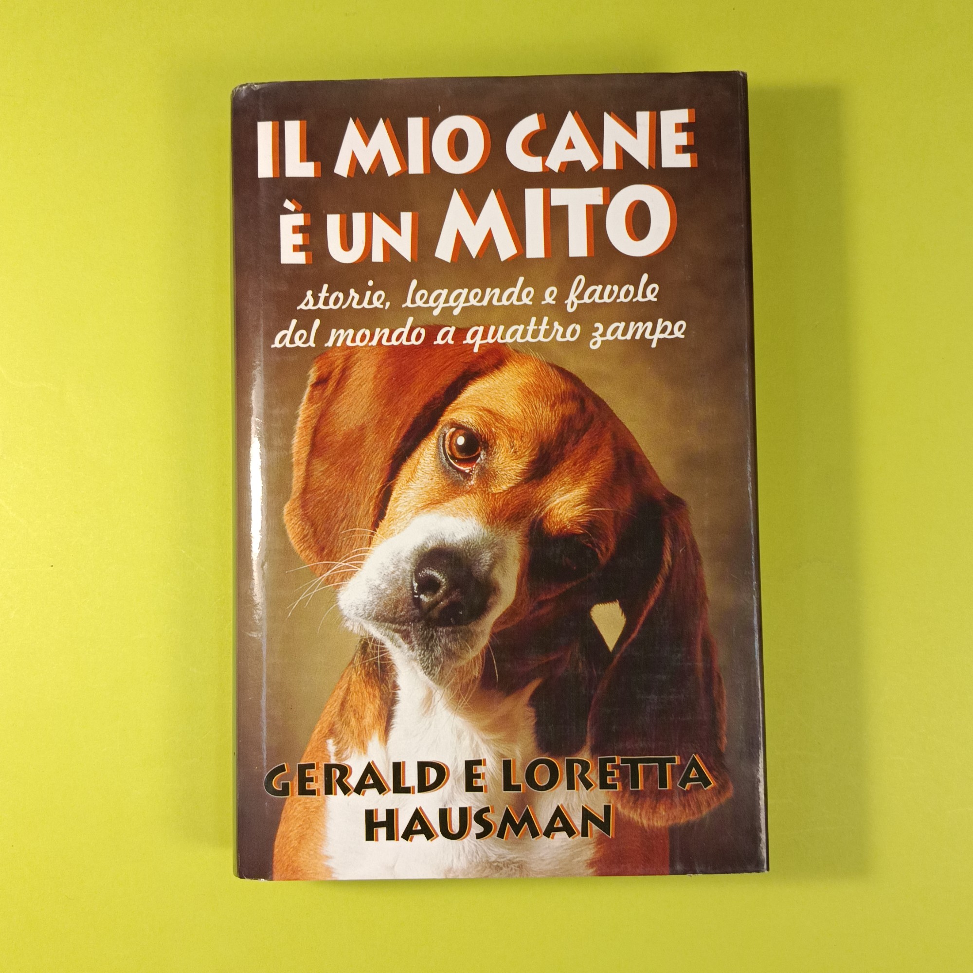 IL MIO CANE È UN MITO