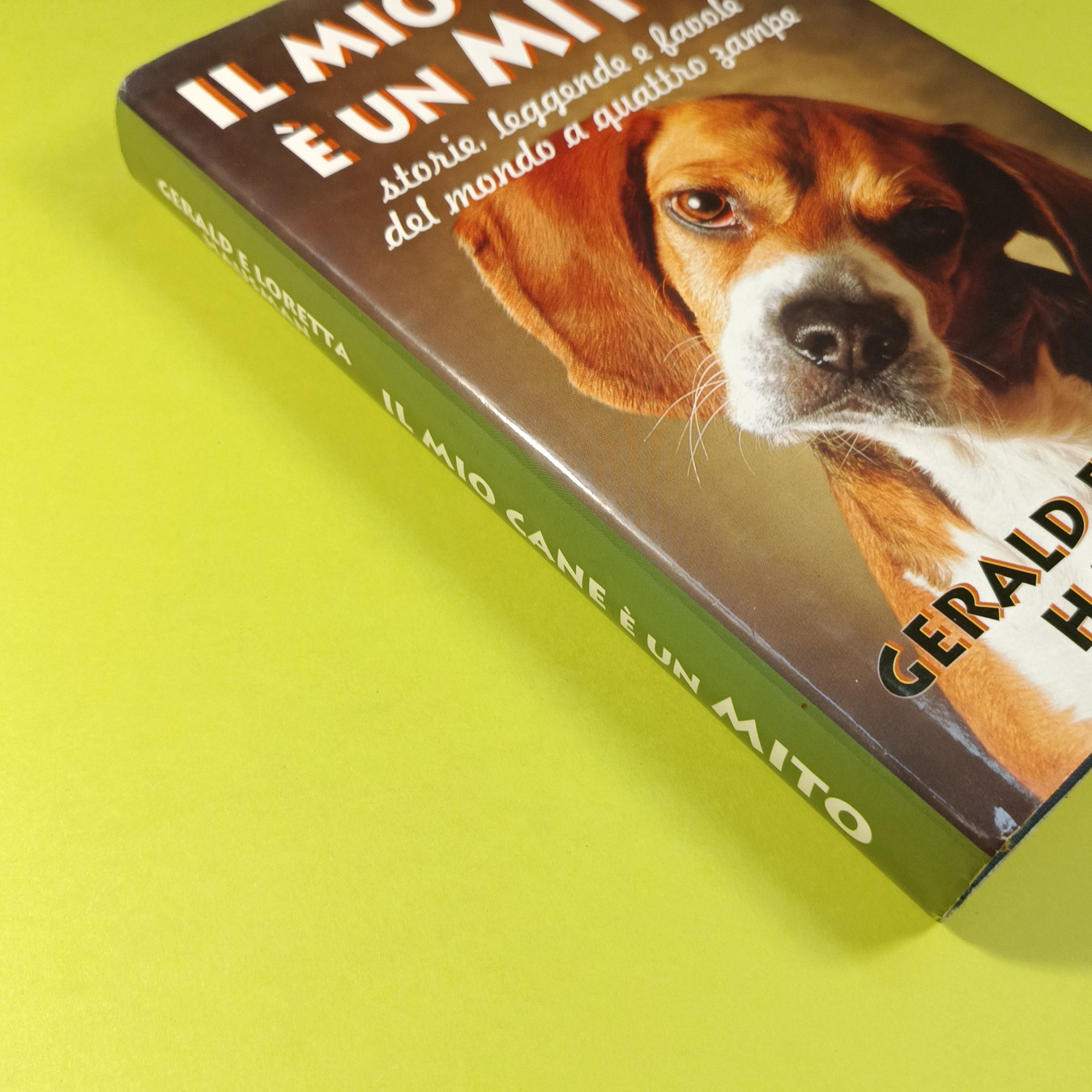 IL MIO CANE È UN MITO - immagine 2