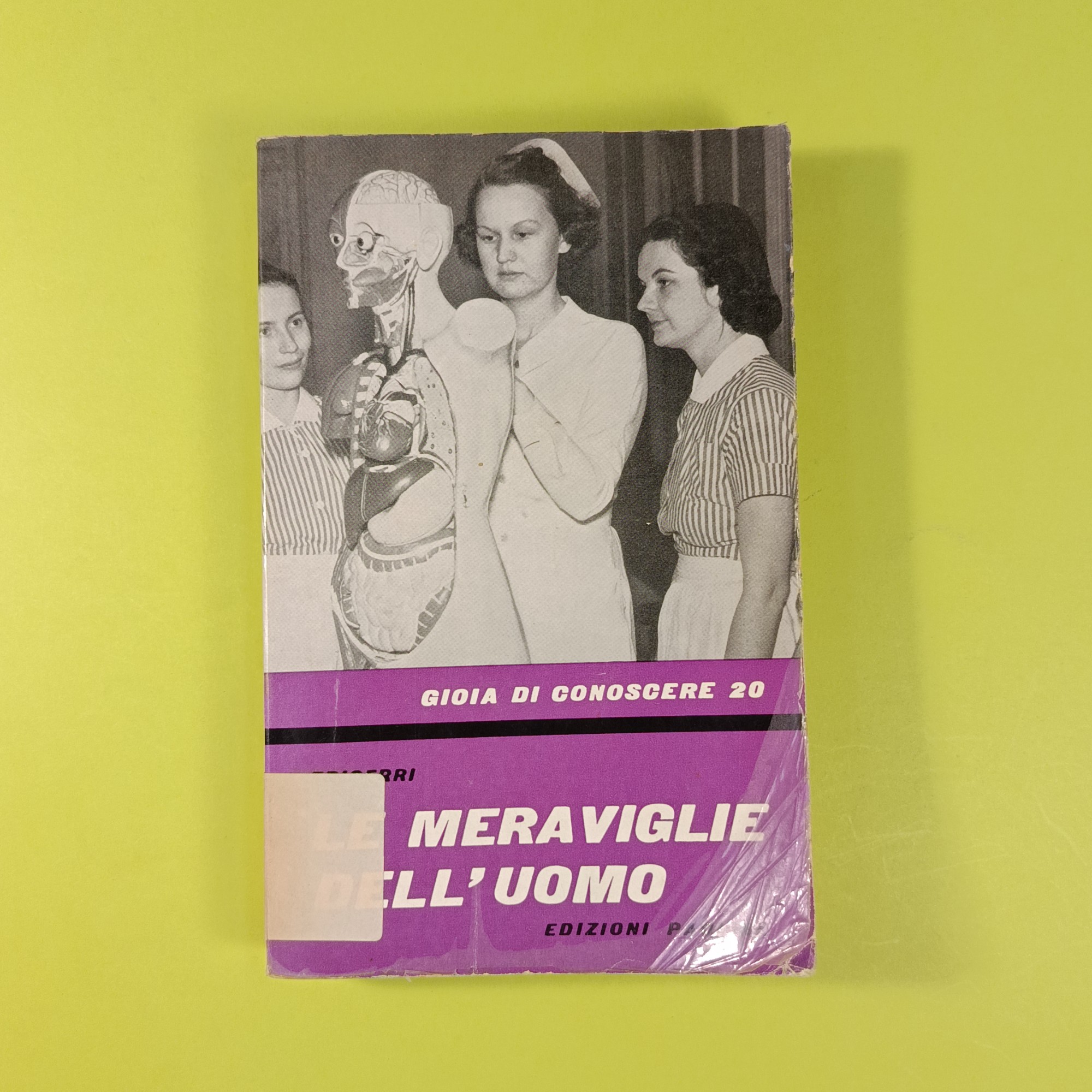LE MERAVIGLIE DELL'UOMO