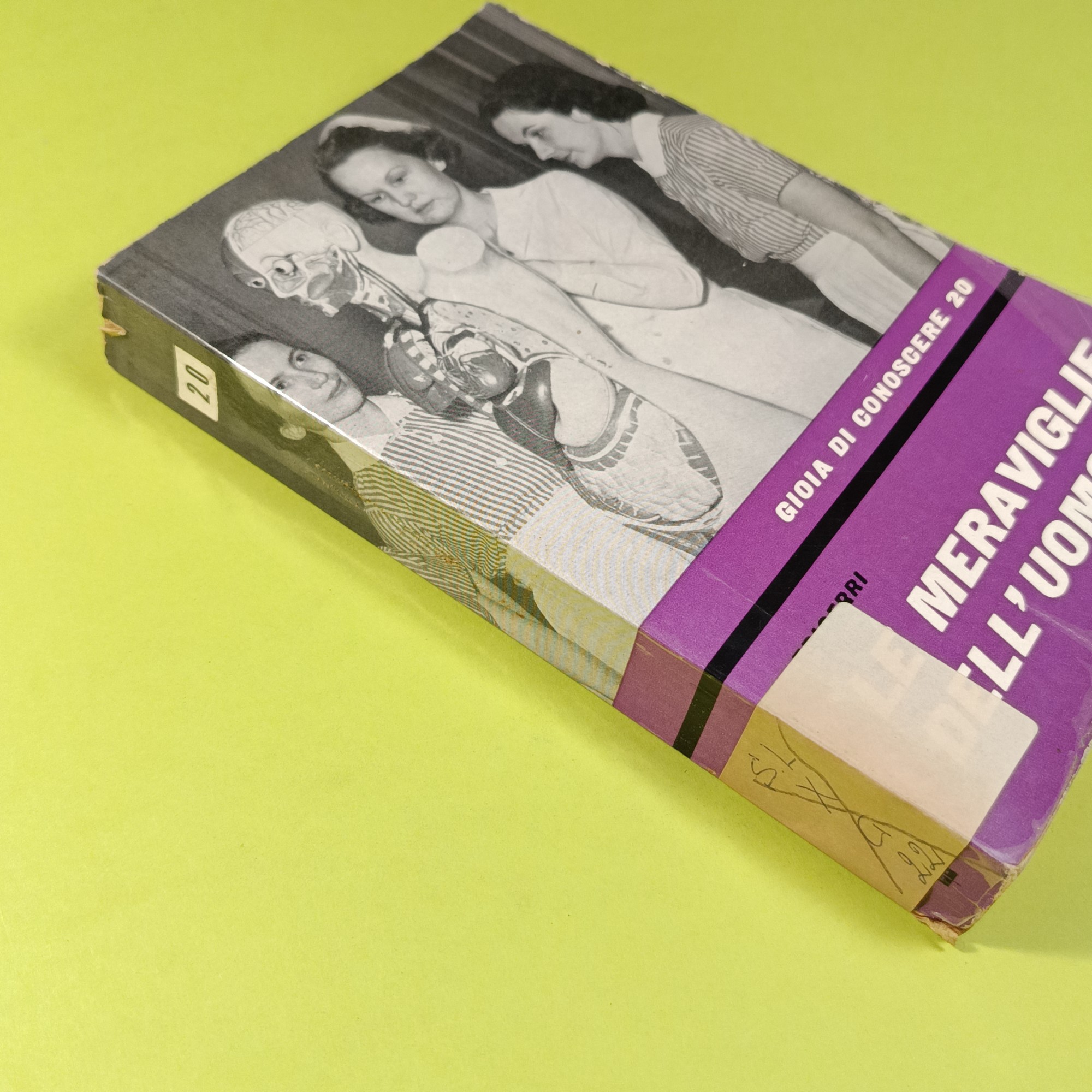 LE MERAVIGLIE DELL'UOMO - immagine 2